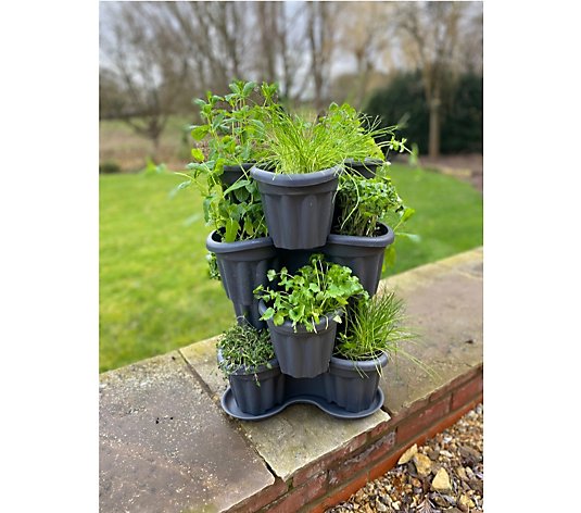 Plants2Gardens Herb Collection with Tri Planter