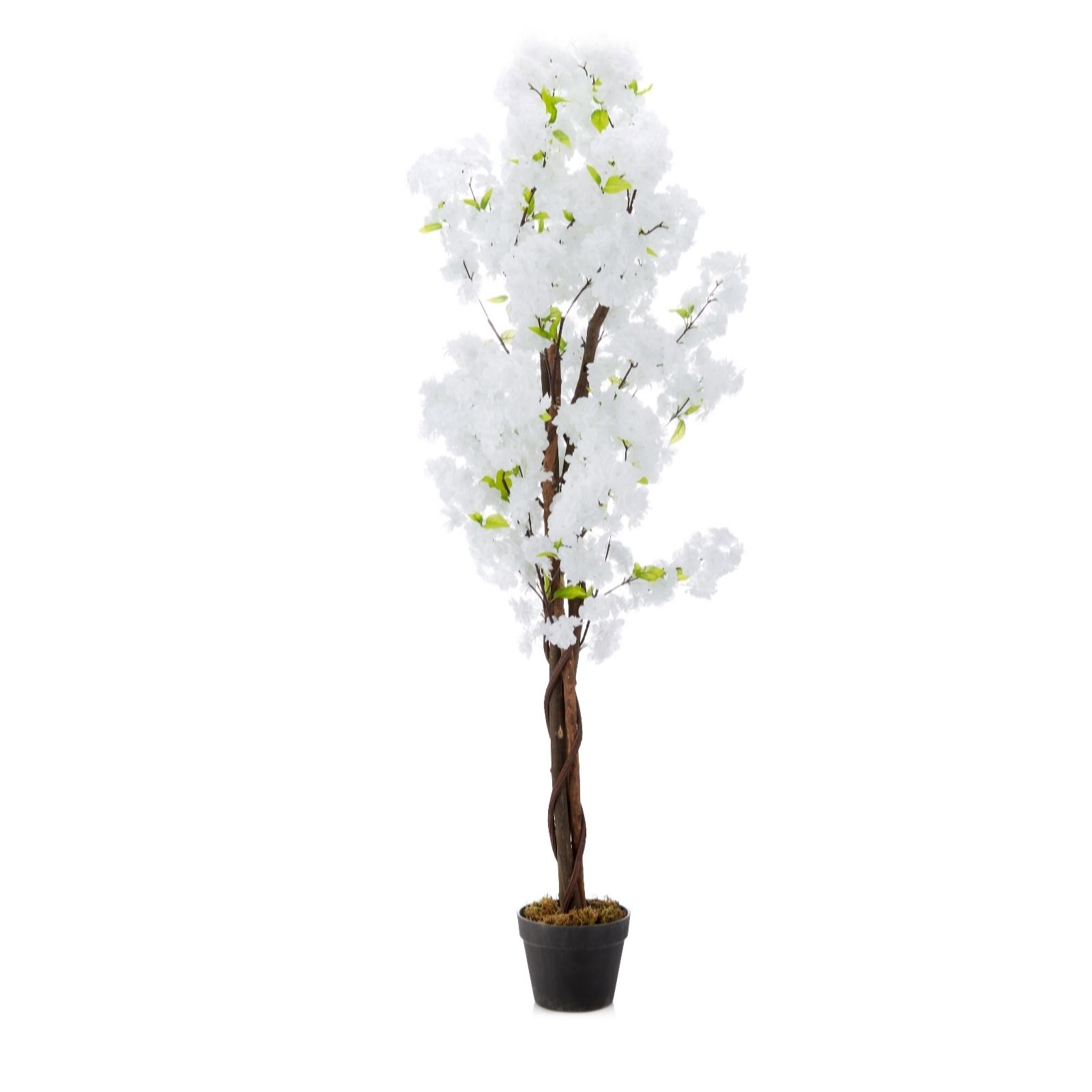 Outlet Innovators Faux Cherry White Blossom Tree QVC UK
