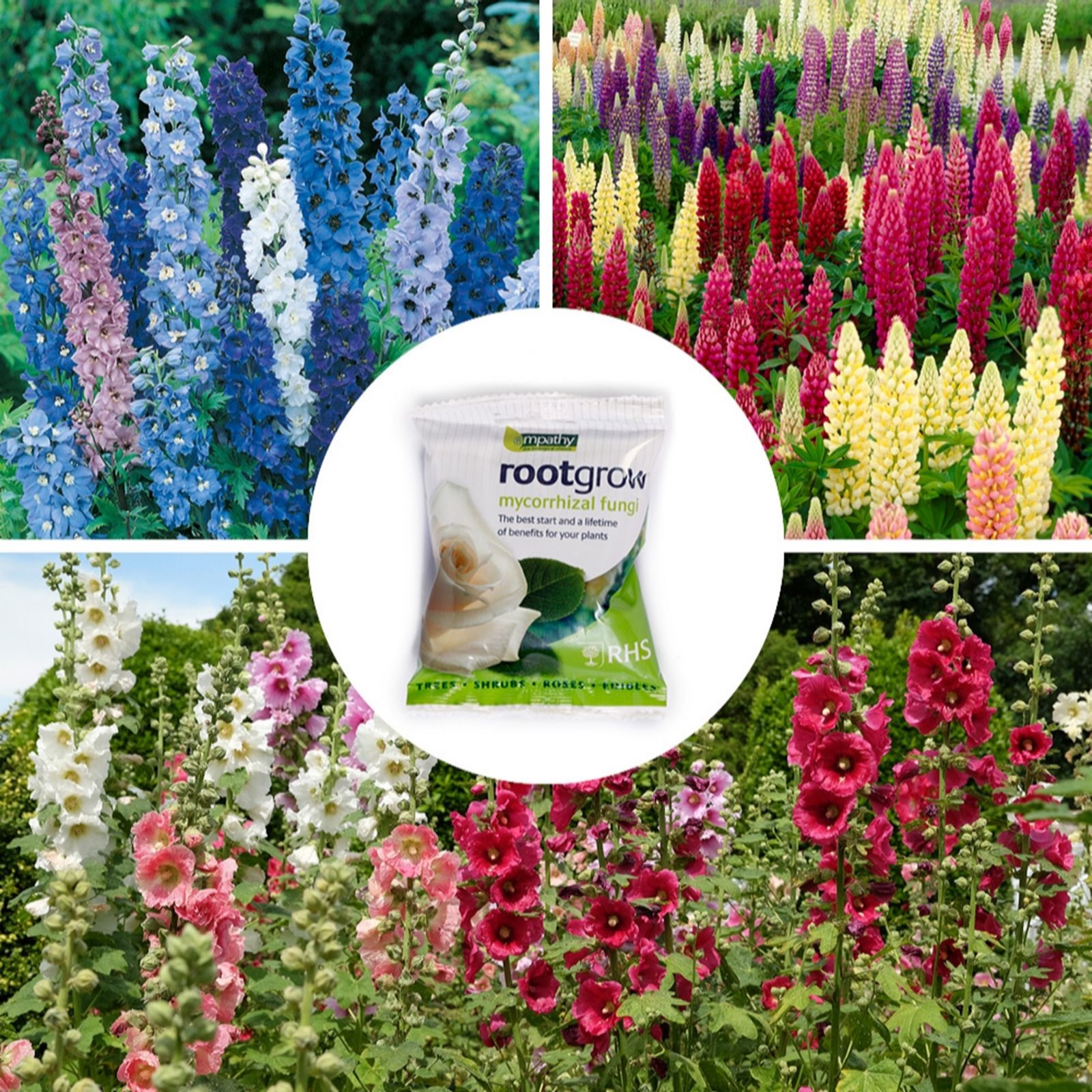 YouGarden Flower Towers Bare Root Collection