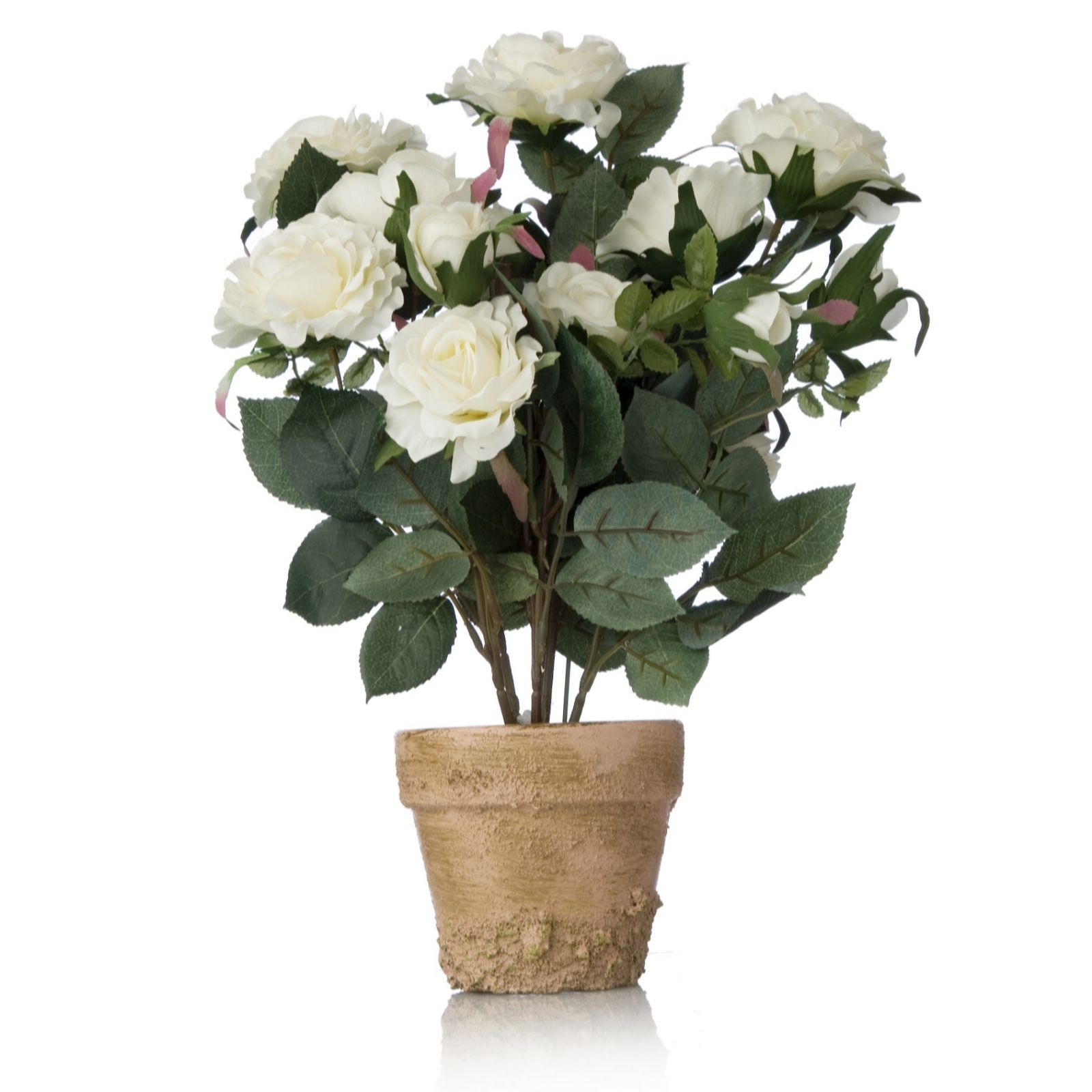 Peony Faux Tina Rose Bush in Terracotta Styled Pot QVC UK
