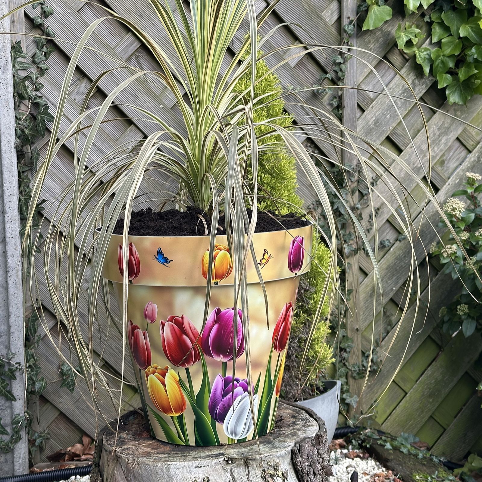 Grumpy Gardener Set of 2 Large 38cm Printed Planters