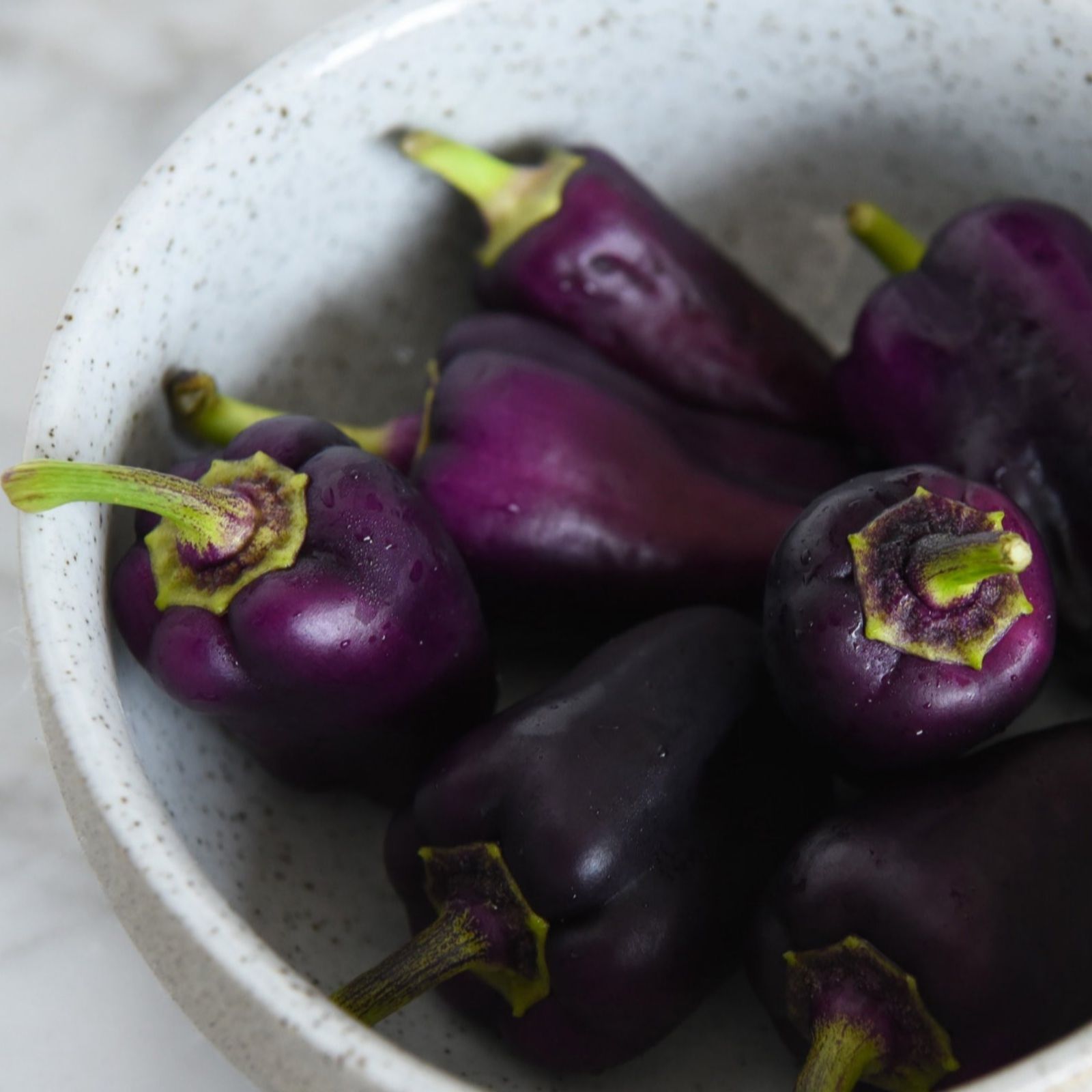 Suttons Pepper Lila Purple 9cm x 3