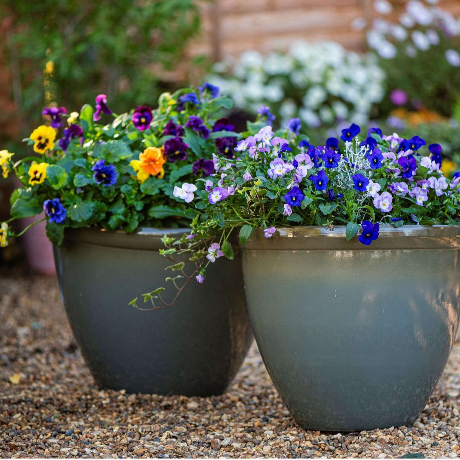 Thompson & Morgan Set of Two Samaria Glazed-Effect Vase Planters