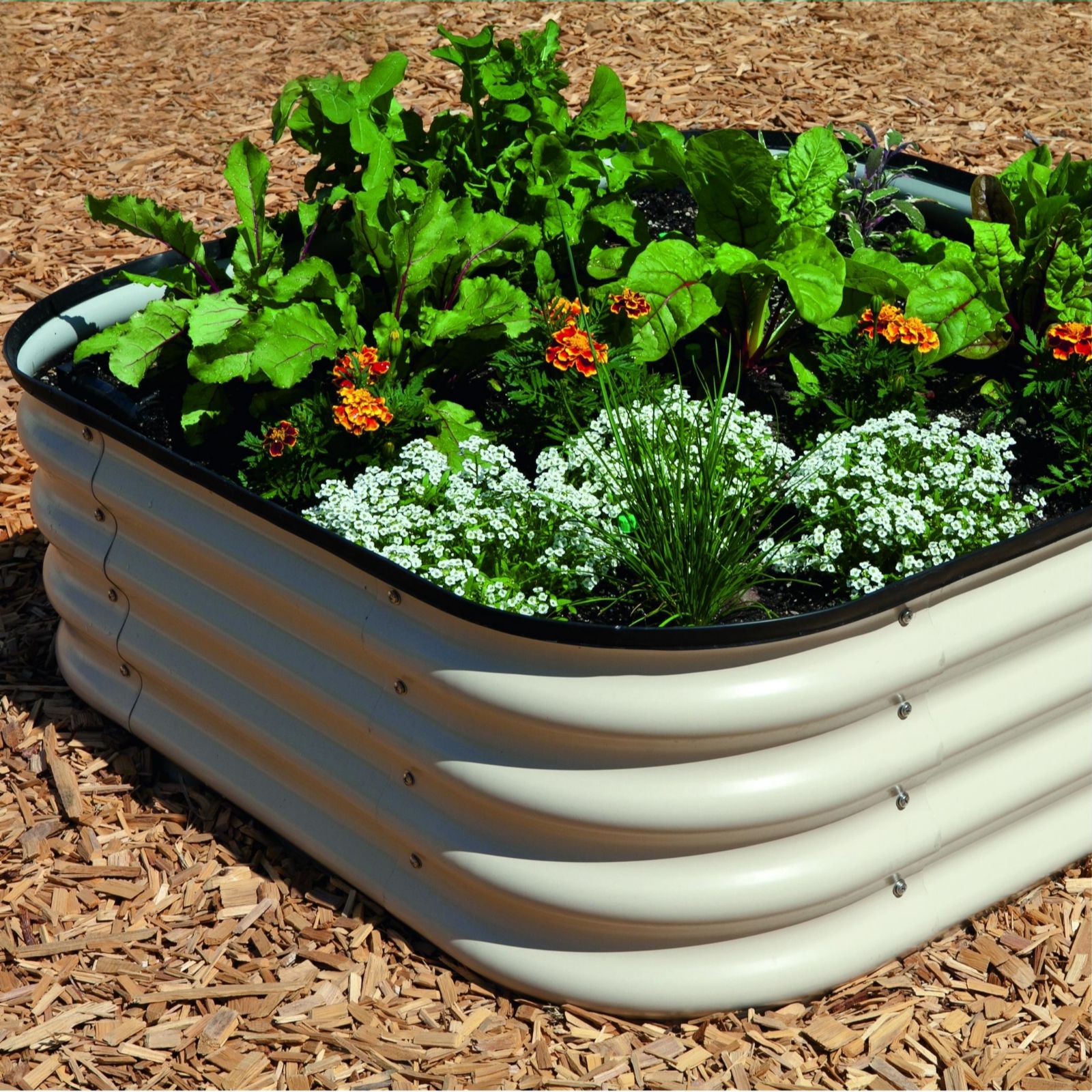 Thompson & Morgan Original Veggie Raised Bed x 2