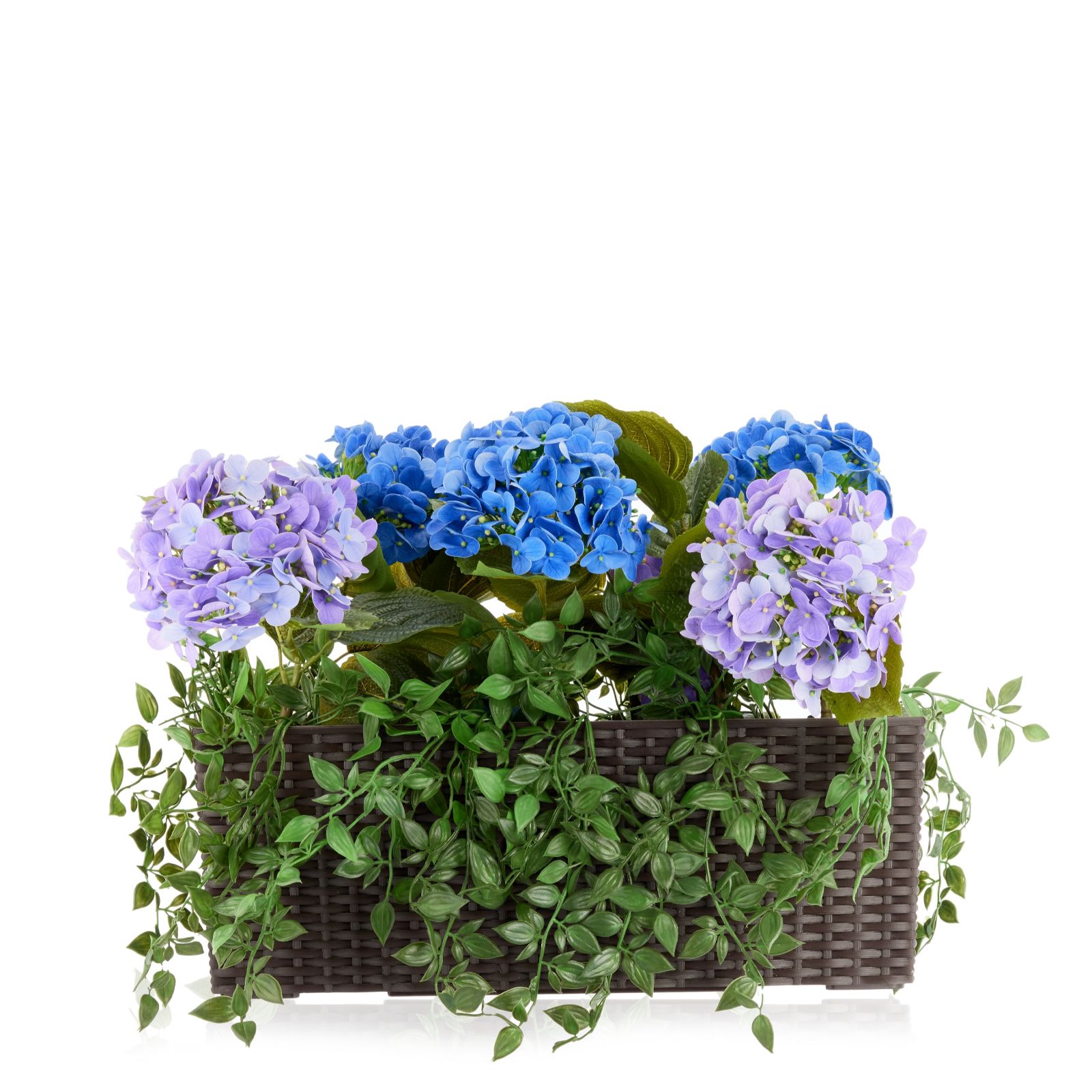 Garden Reflections Indoor Outdoor Hydrangea and Ivy in Window Box