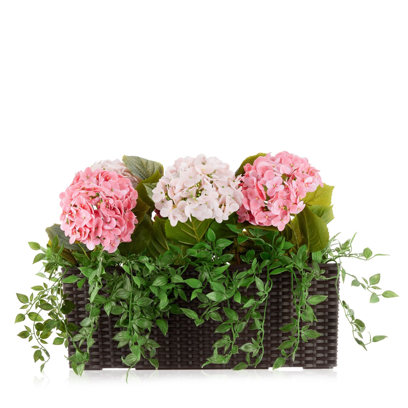 Garden Reflections Indoor Outdoor Hydrangea and Ivy in Window Box