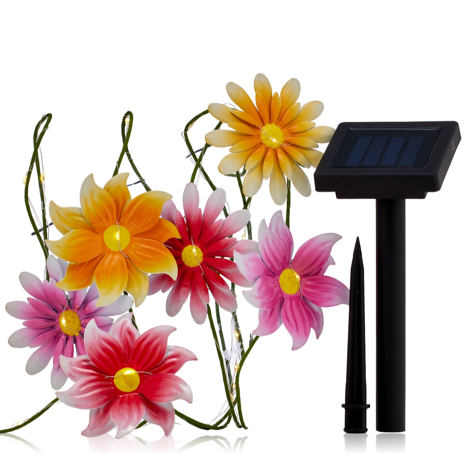 Outlet Garden Stories Colour Splash Floral String Lights 2.9m