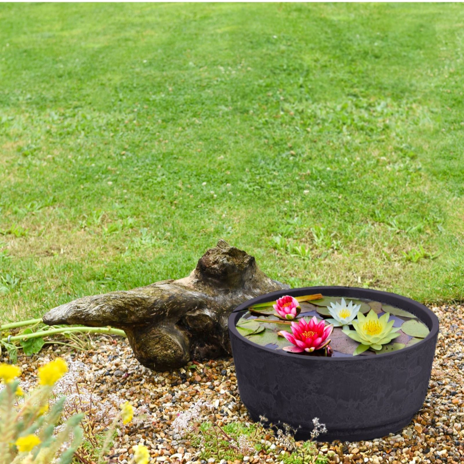 Thompson & Morgan Water Lily Trio Patio Pond Kit + Marble Caesar Bowl 46cm