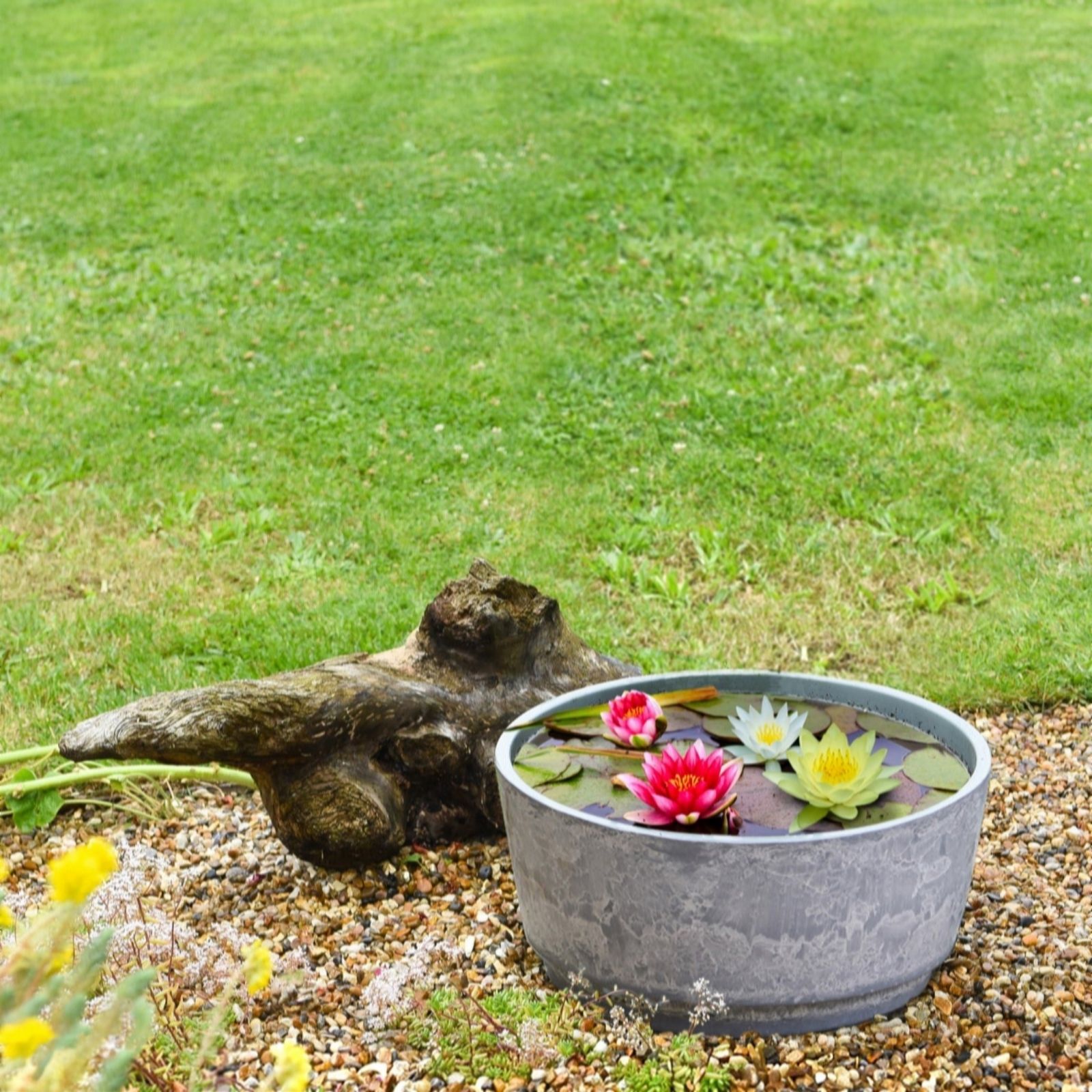 Thompson & Morgan Water Lily Trio Patio Pond Kit + Marble Caesar Bowl 46cm