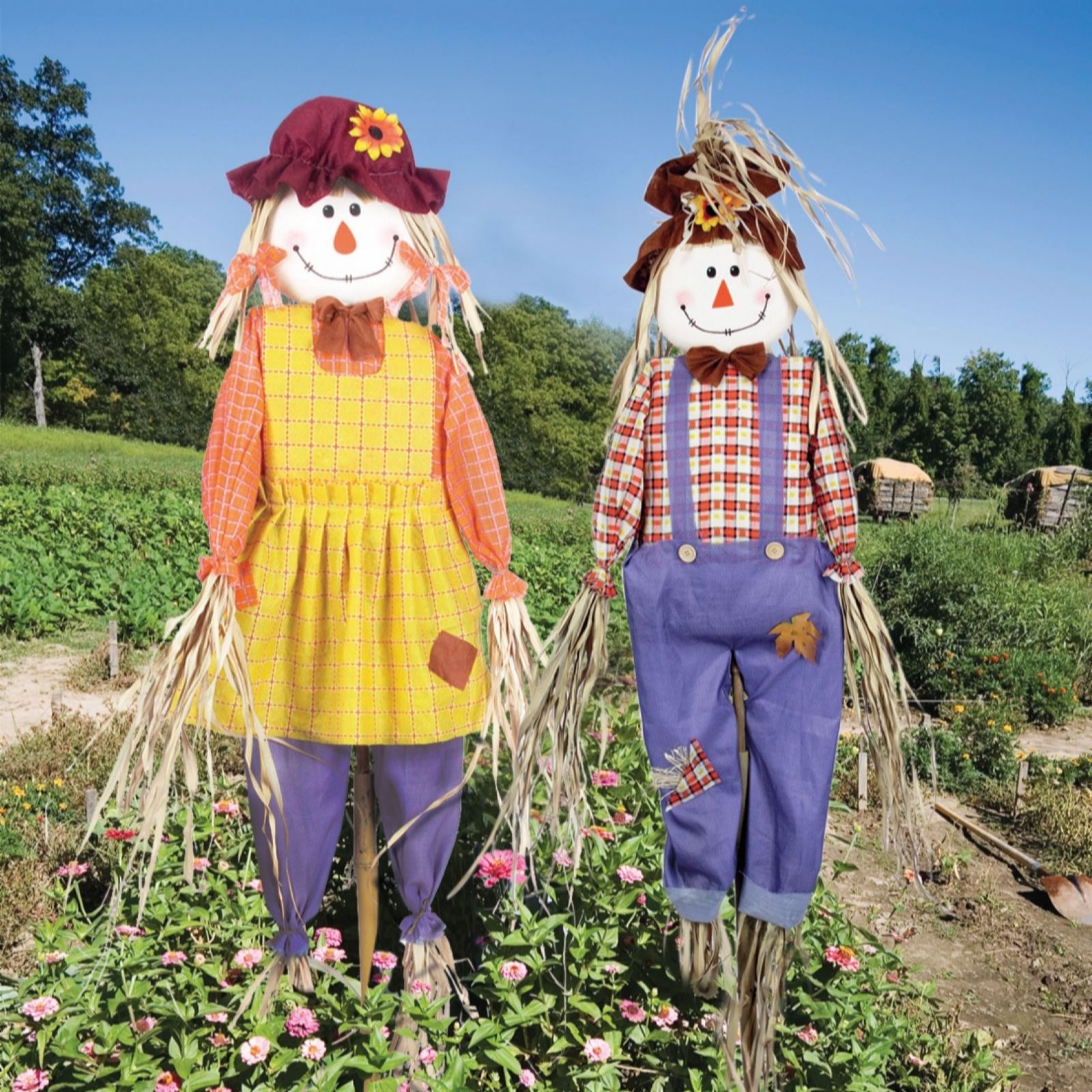 Thompson & Morgan 1.83m Scarecrow Double Pack