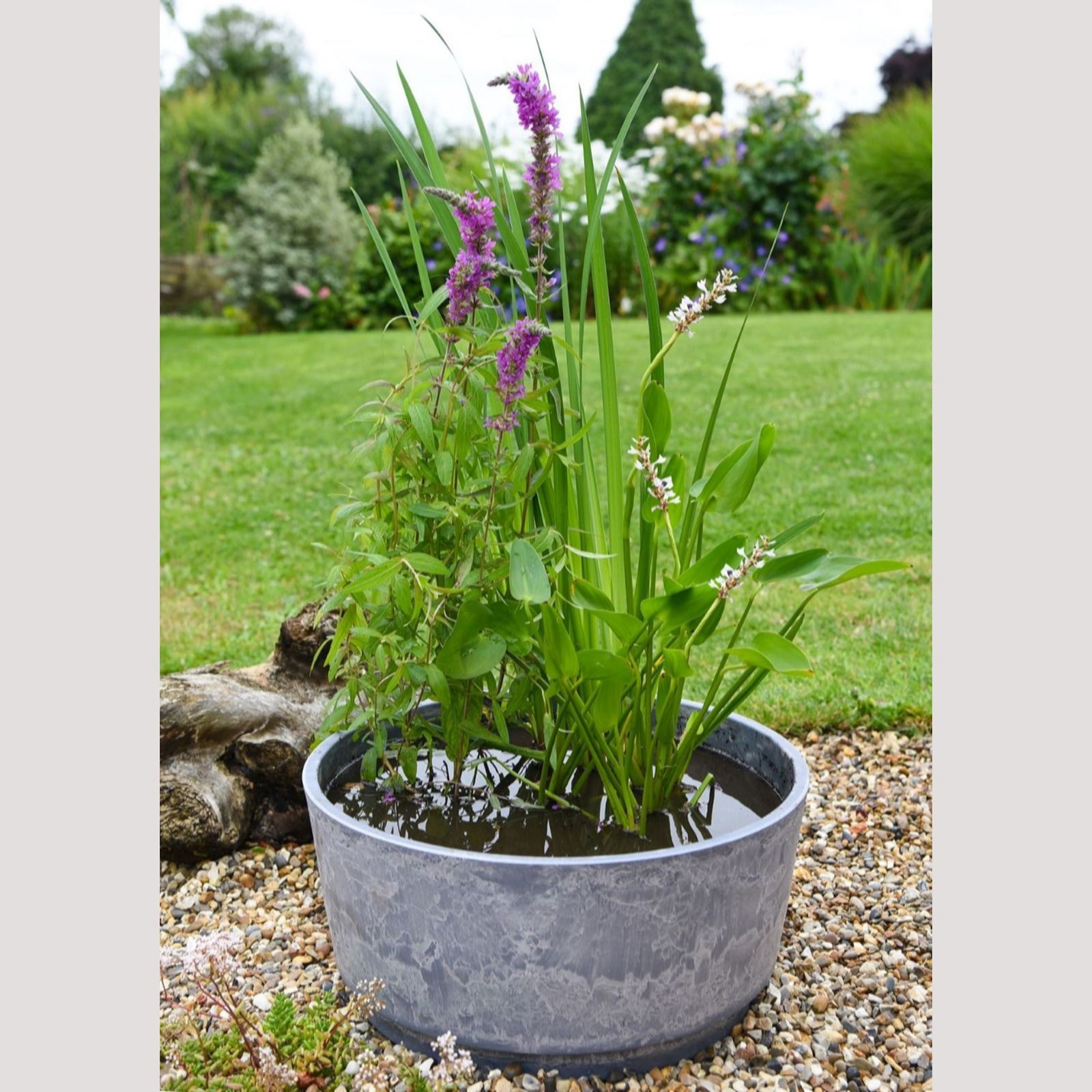 Thompson & Morgan Fragrant Patio Pond Kit + Marble Caesar Bowl 46cm