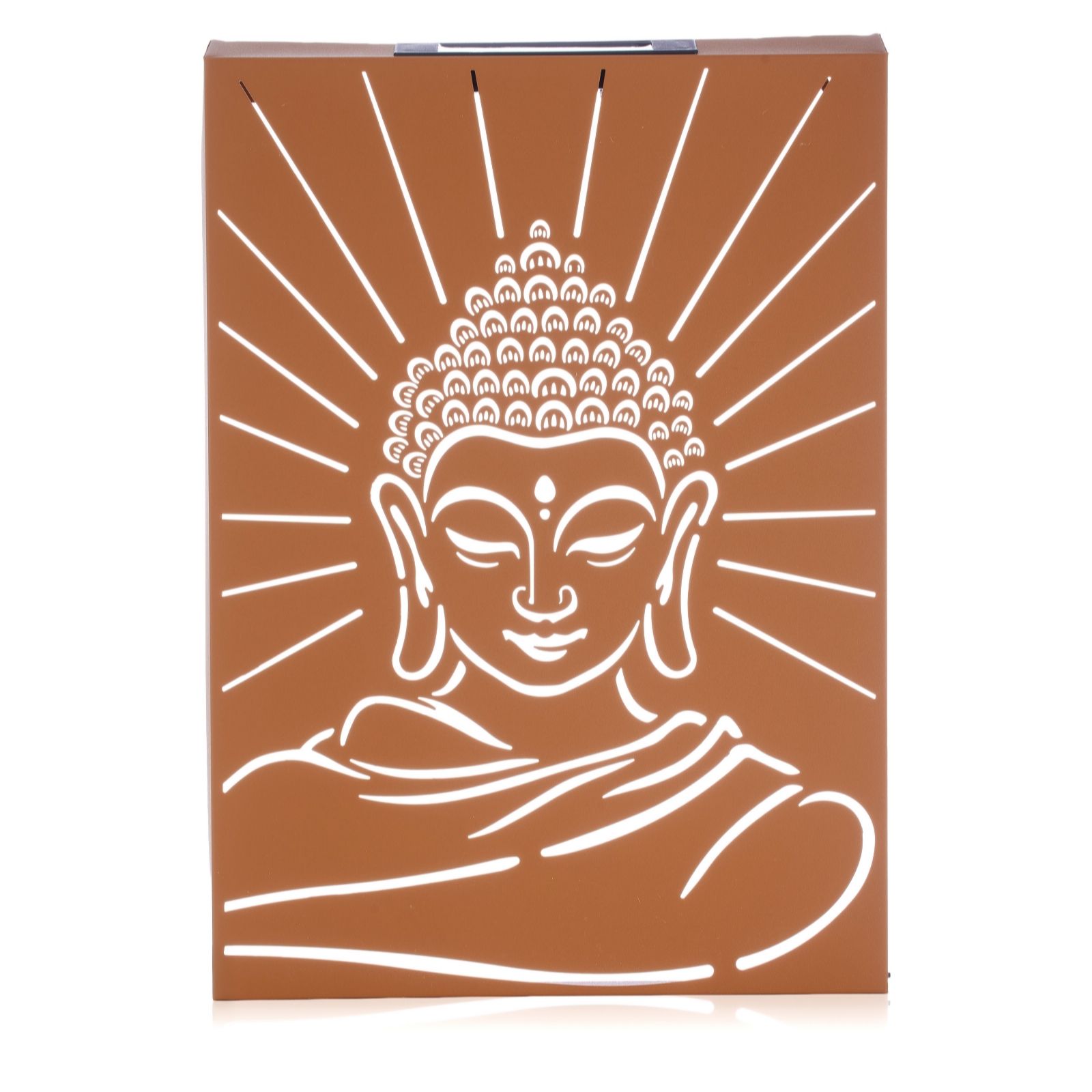 Garden Reflections Large Radiant Buddha Wall Art