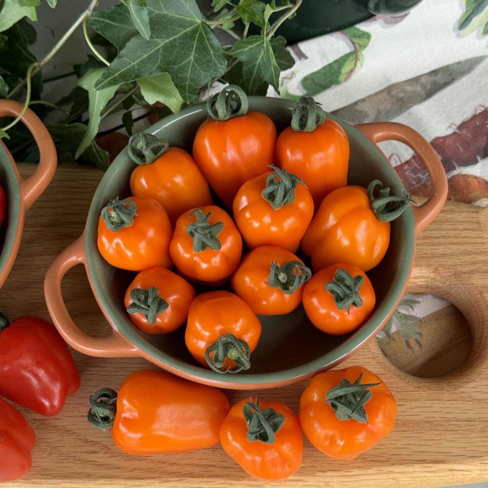 Suttons Tomato Appleberry Luscious Orange 9cm Pot x 3
