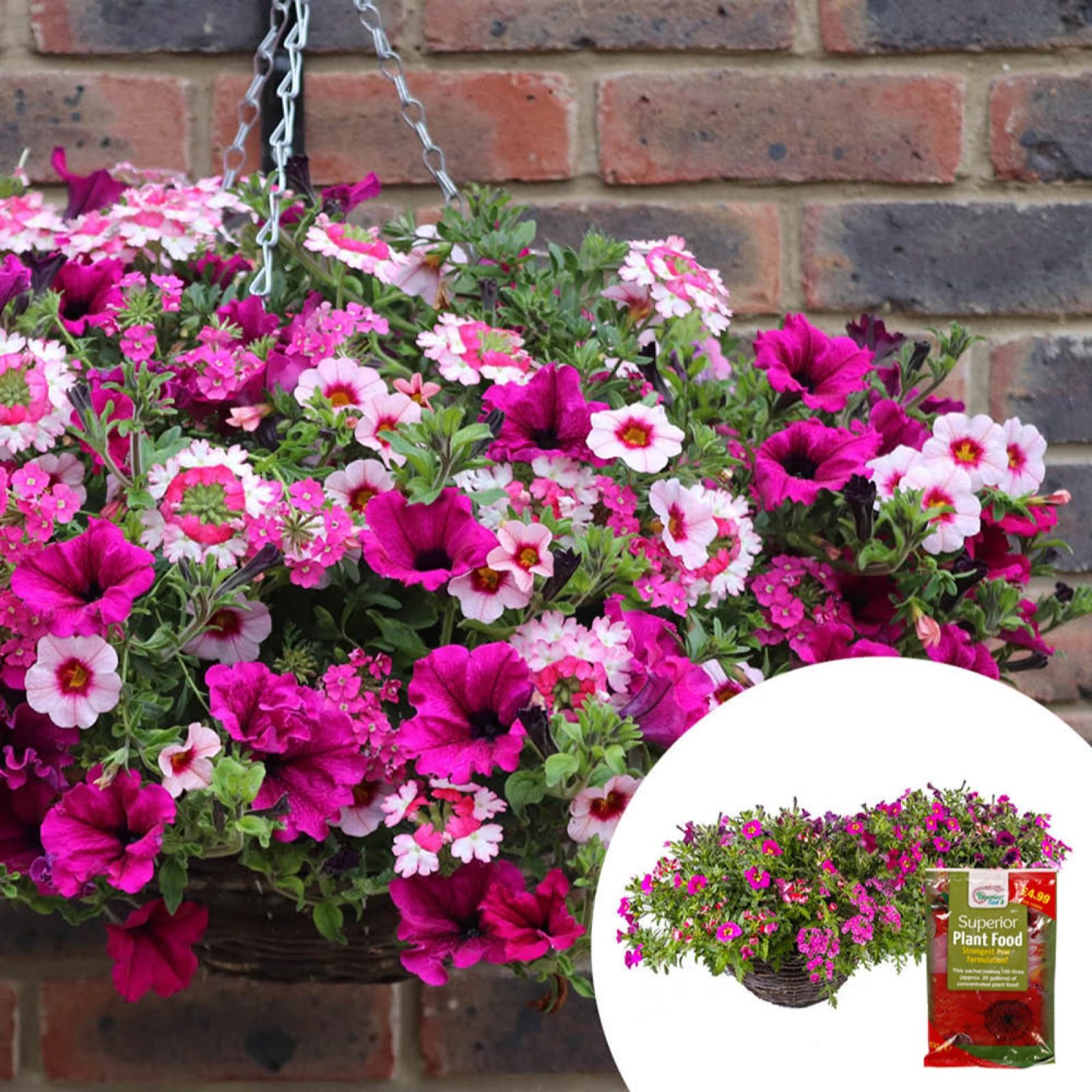 YouGarden Pair of Premium Preplanted 35cm Rattan Hanging Baskets