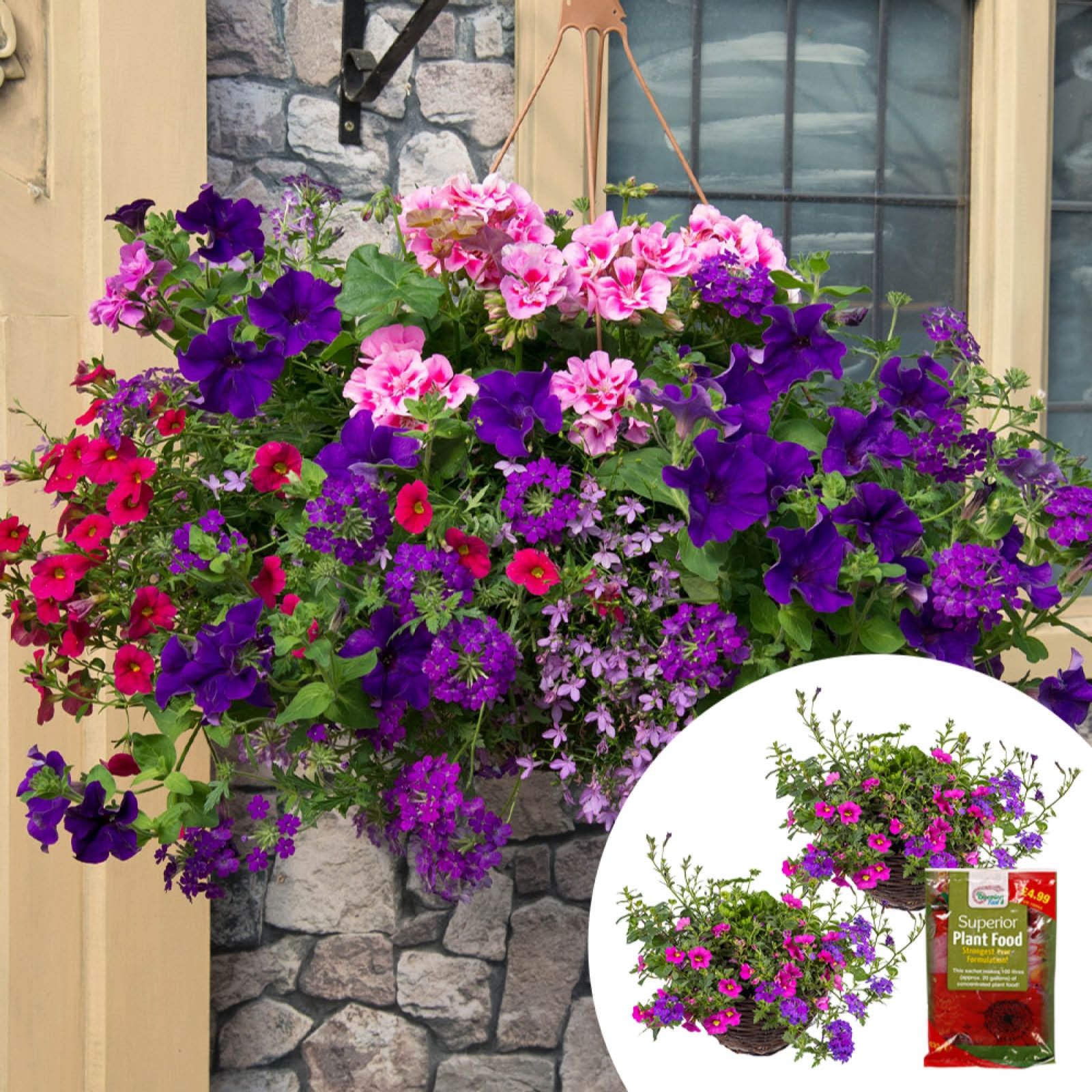 YouGarden Pair of Premium Preplanted 35cm Rattan Hanging Baskets