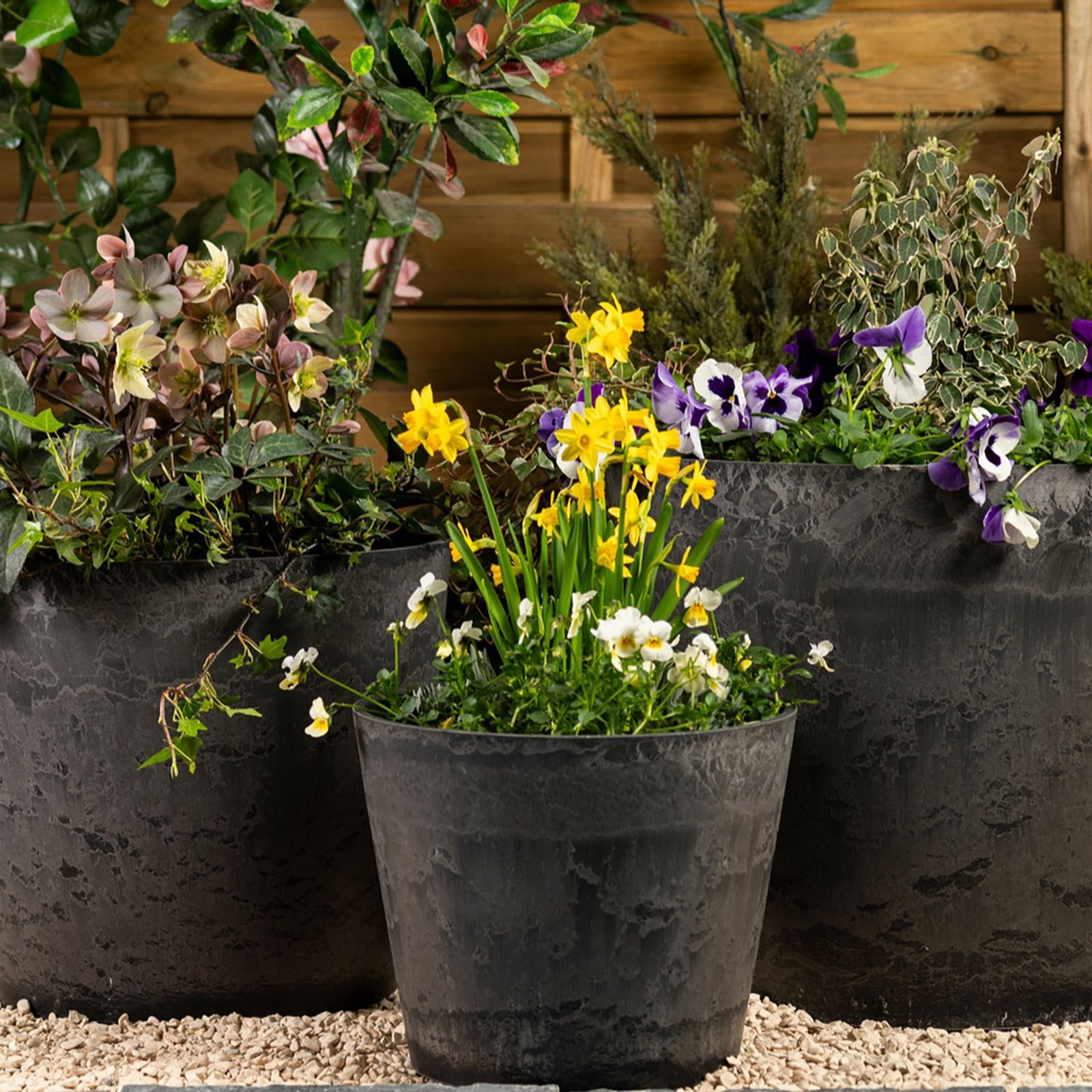 Thompson & Morgan Set of 3 Caesar Marble Effect Planter