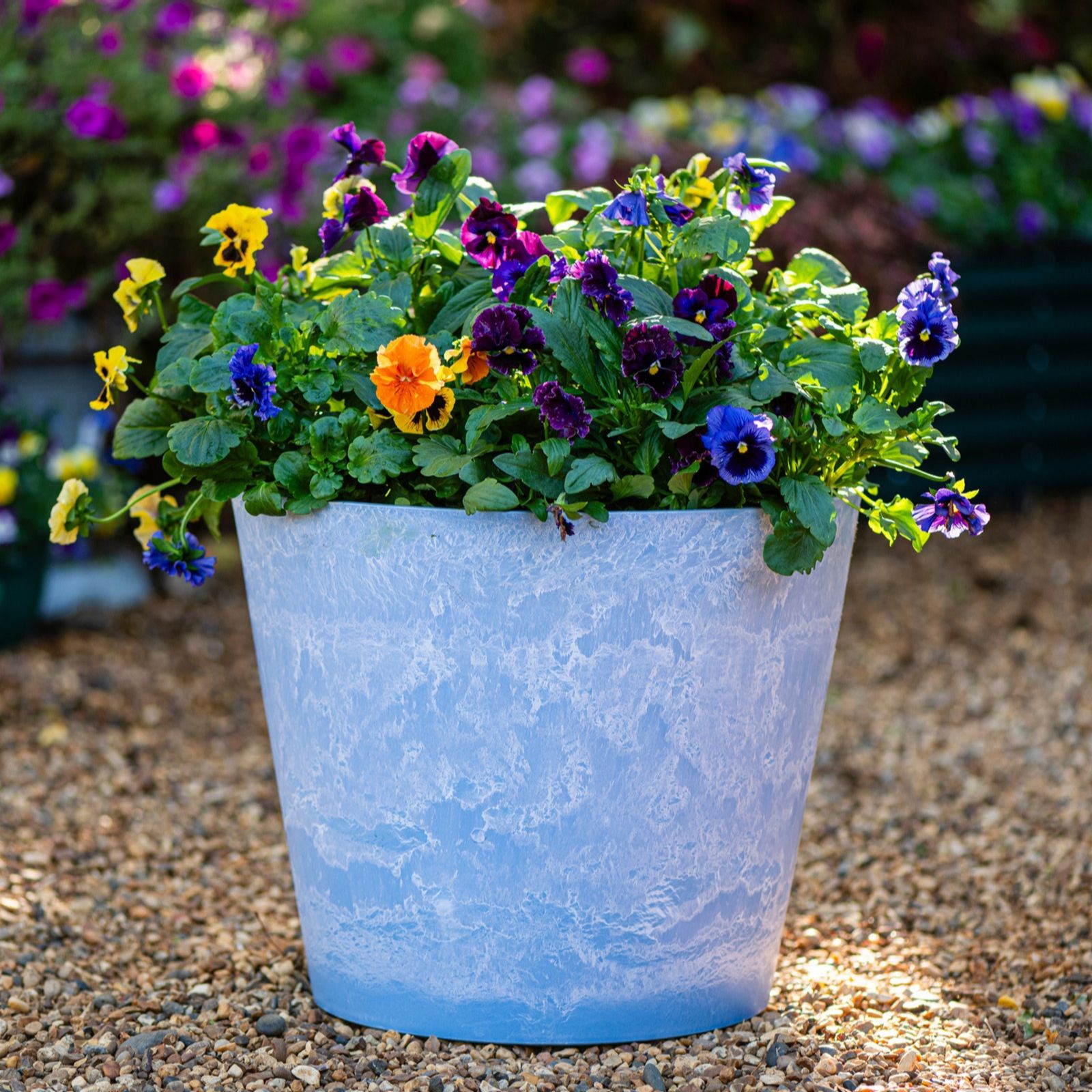 Thompson & Morgan Set of 3 Caesar Marble Effect Planter