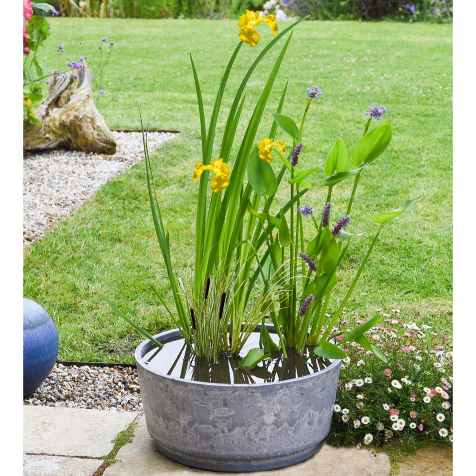 Thompson & Morgan Patio Plant Pond Kit + Marble Caesar Bowl 46cm