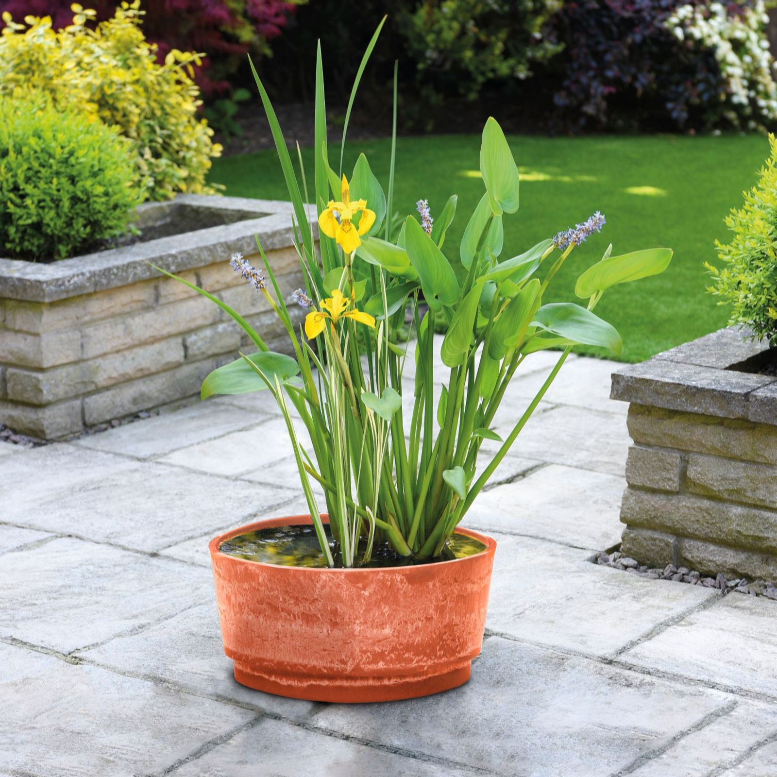 Thompson & Morgan Patio Plant Pond Kit + Marble Caesar Bowl 46cm