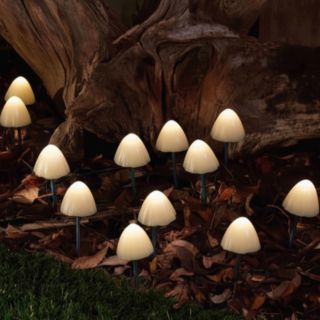 Solar Centre Forest Mushroom Stake Lights