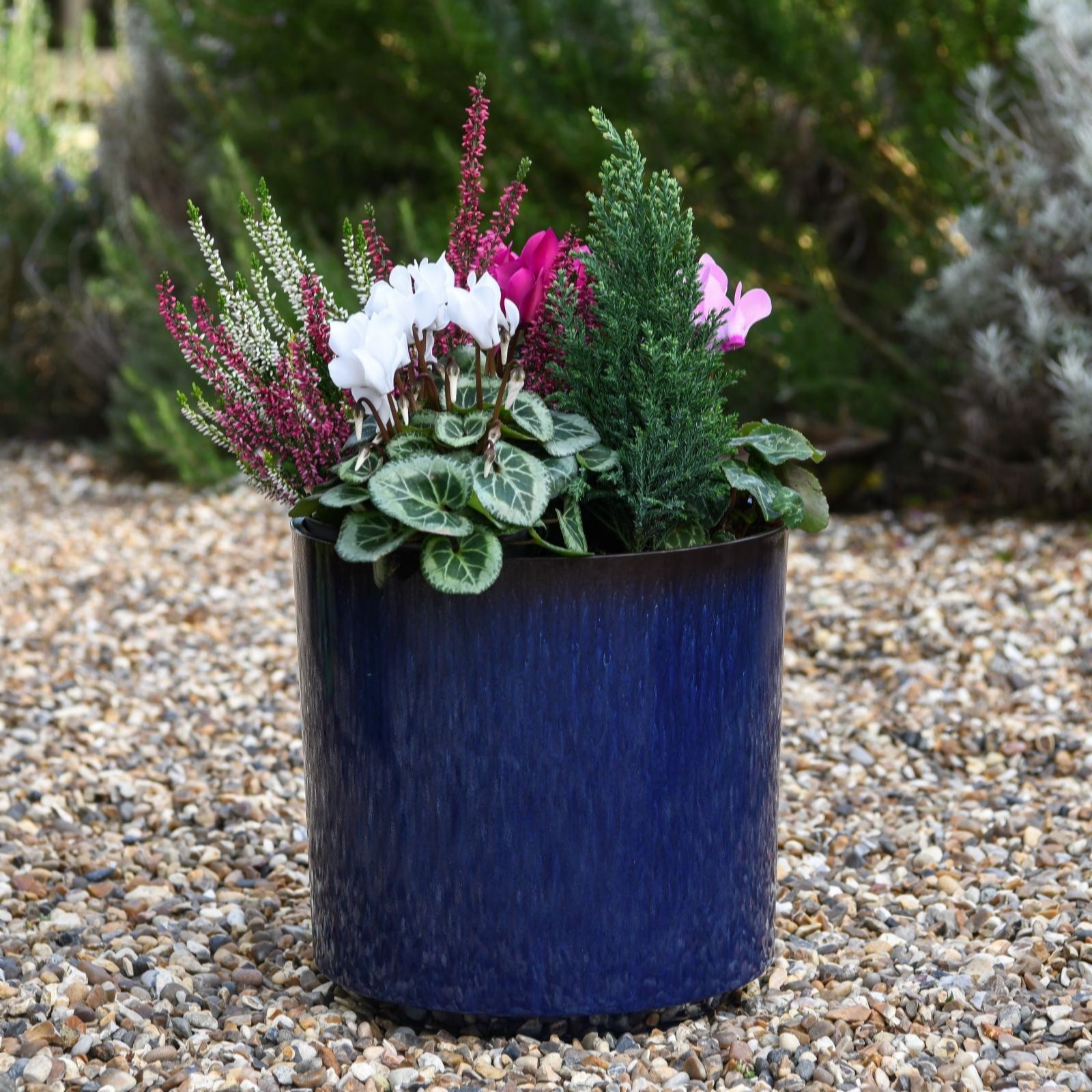 Thompson & Morgan 26cm Cylinder Glazed Planter