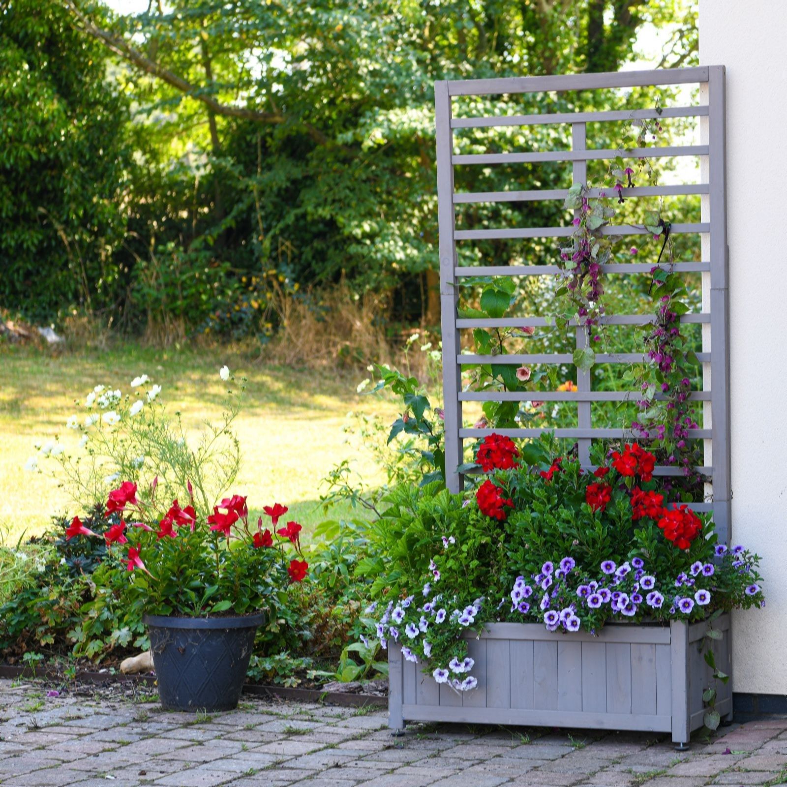 Thompson & Morgan Raised Wooden Planter with Climbing Trellis