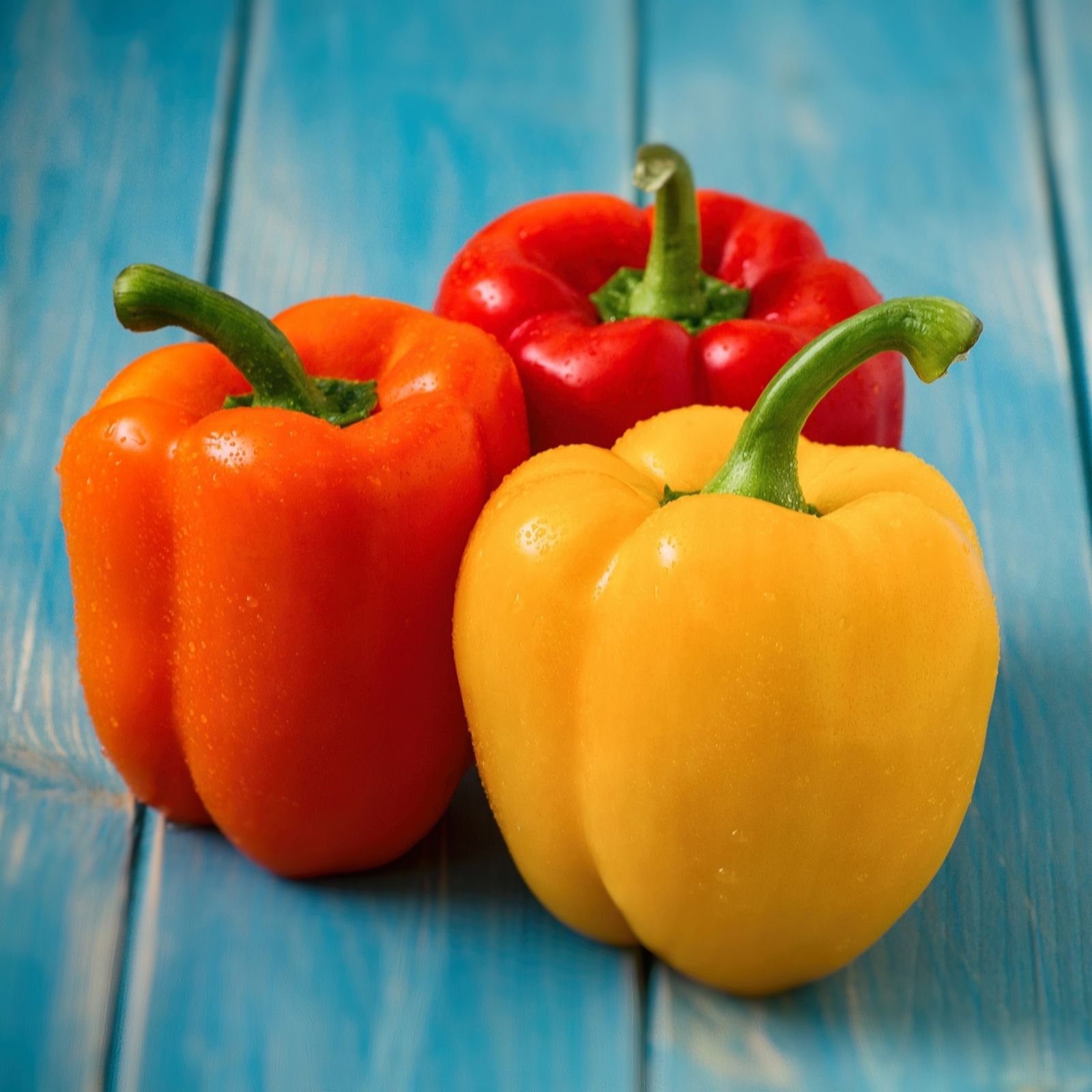 Suttons Pepper (Sweet) Grafted Collection 9cm Pot x 3