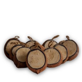 Grumpy Gardener Set of 10 Pre-Filled Nutpecker 3/4 Coconuts