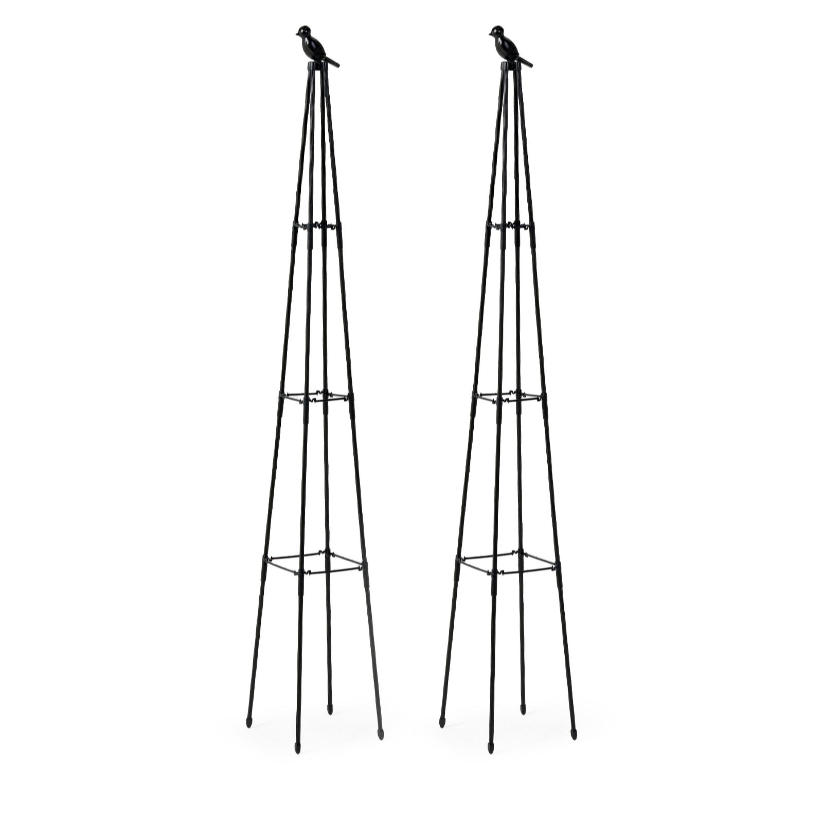 Garden Stories Set of 2 Decorative Plant Supports