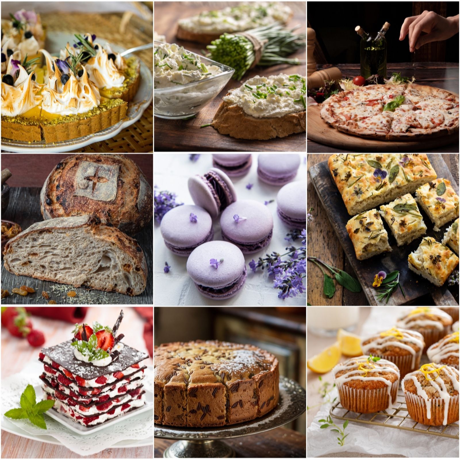 Fyne Herbs Bakers Herbs x9