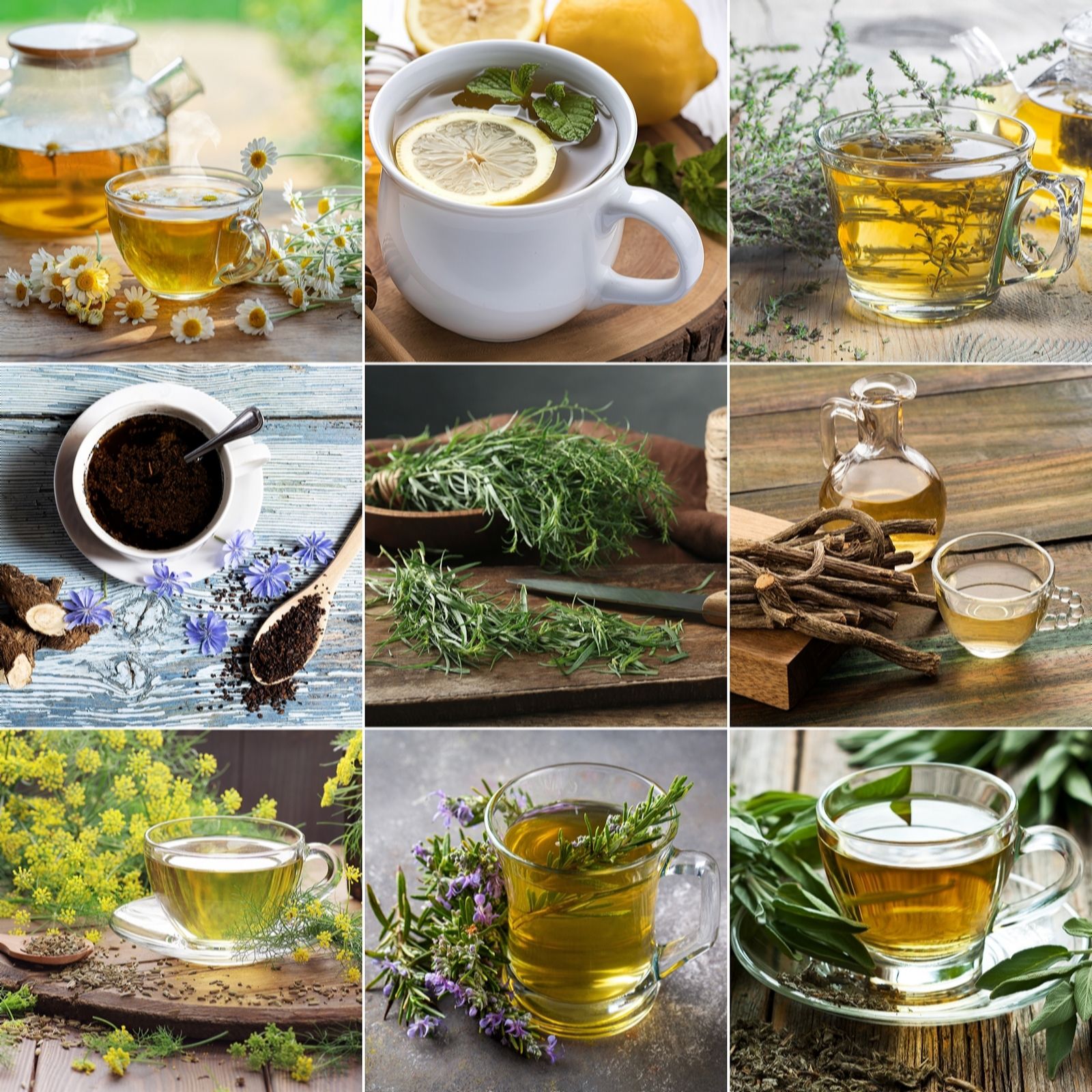 Fyne Herbs Tea Herbs x9