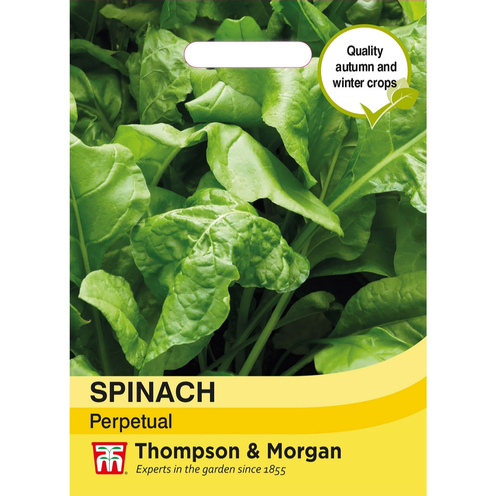 Spinach Perpetual (Spinach Beet) 1 Packet