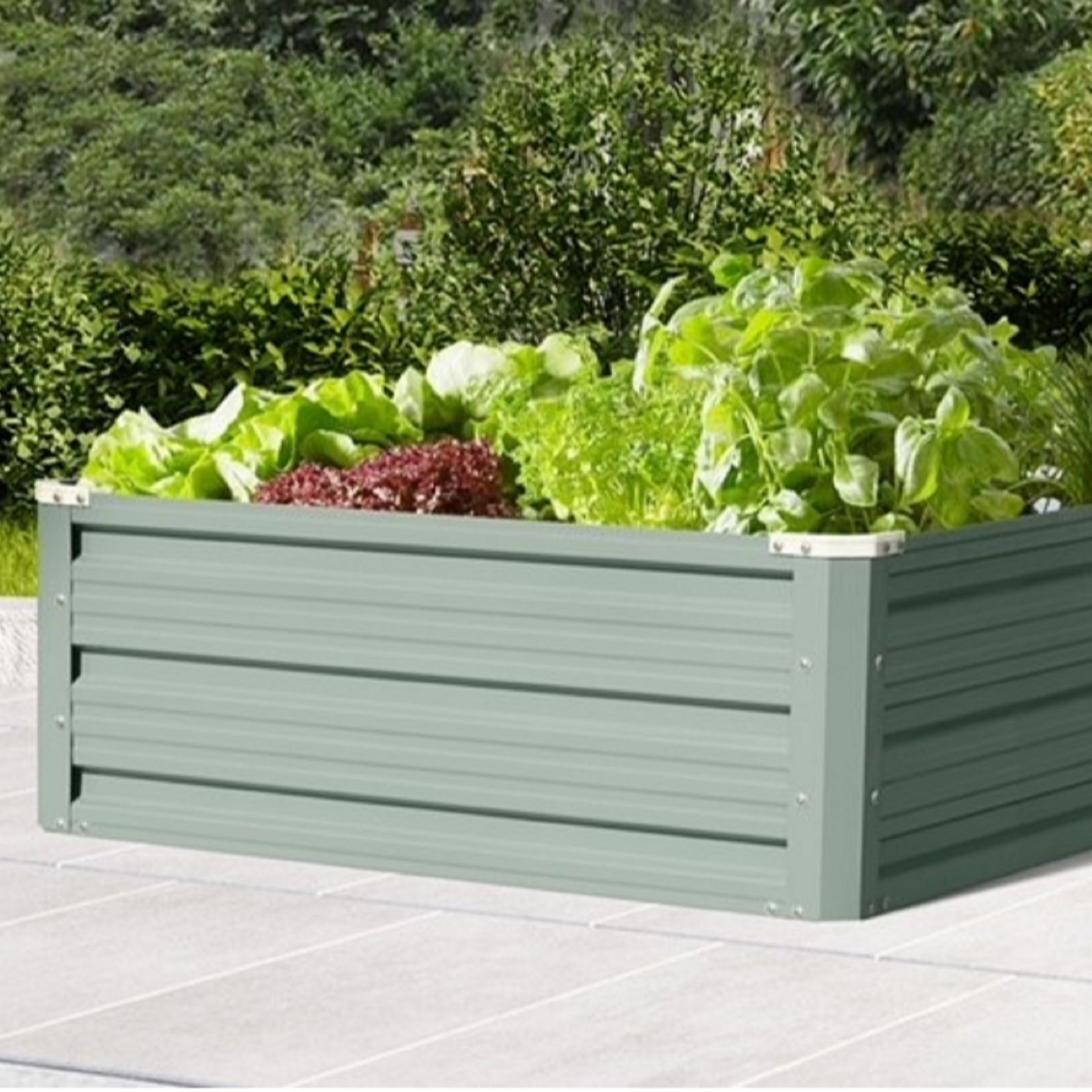 Thompson & Morgan Metal Raised Garden Bed 120cm x 90cm Light Green x 2