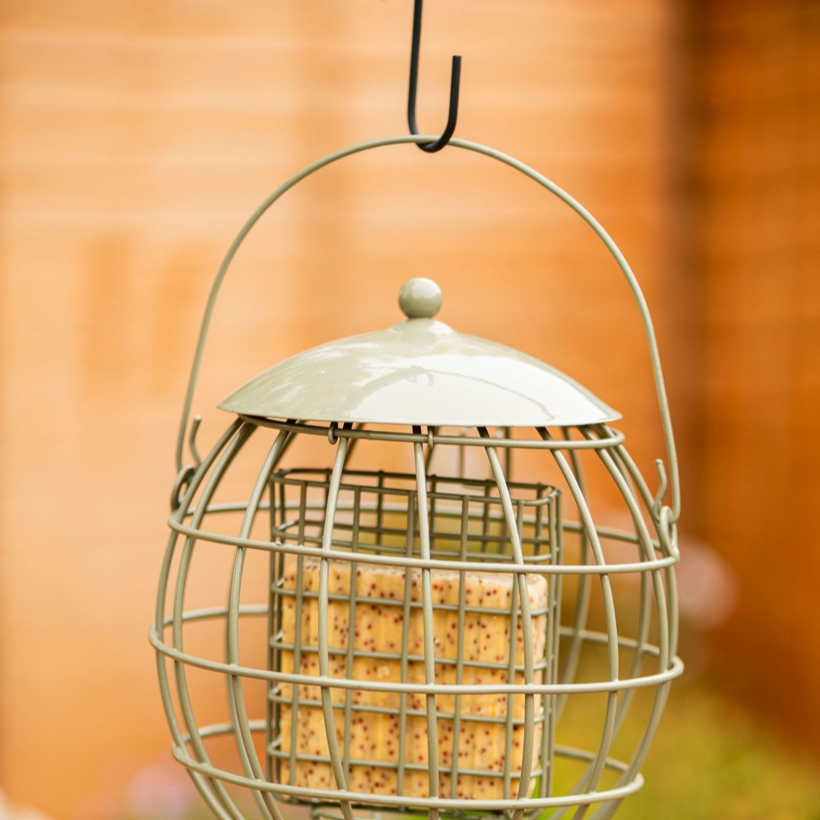 Thompson & Morgan Happy Beaks Orbital Squirrel Proof Suet Feeder