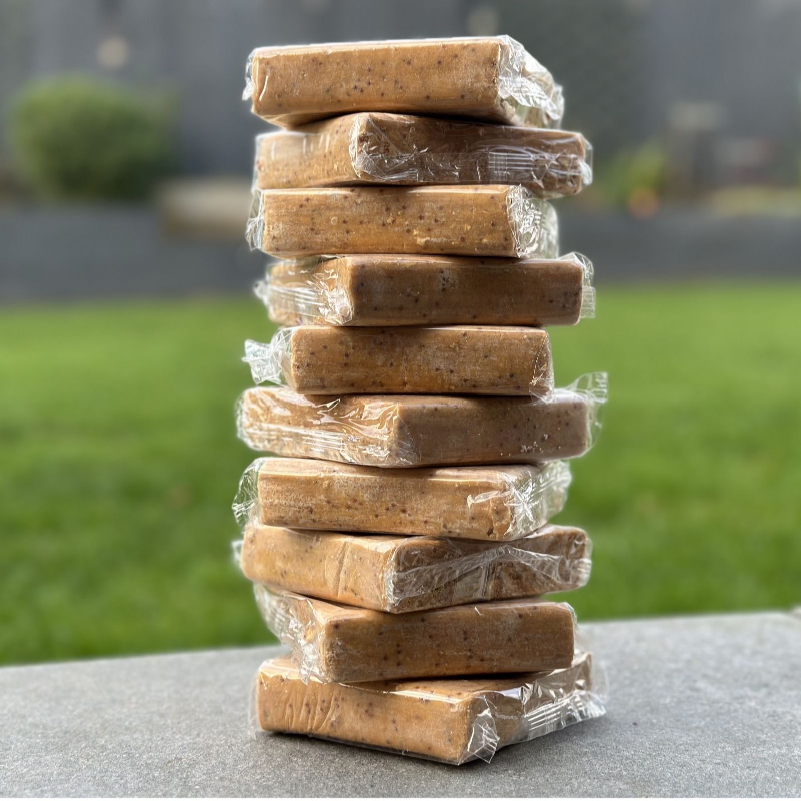 Grumpy Gardener Ten Squirrel-Resistant Suet Cakes
