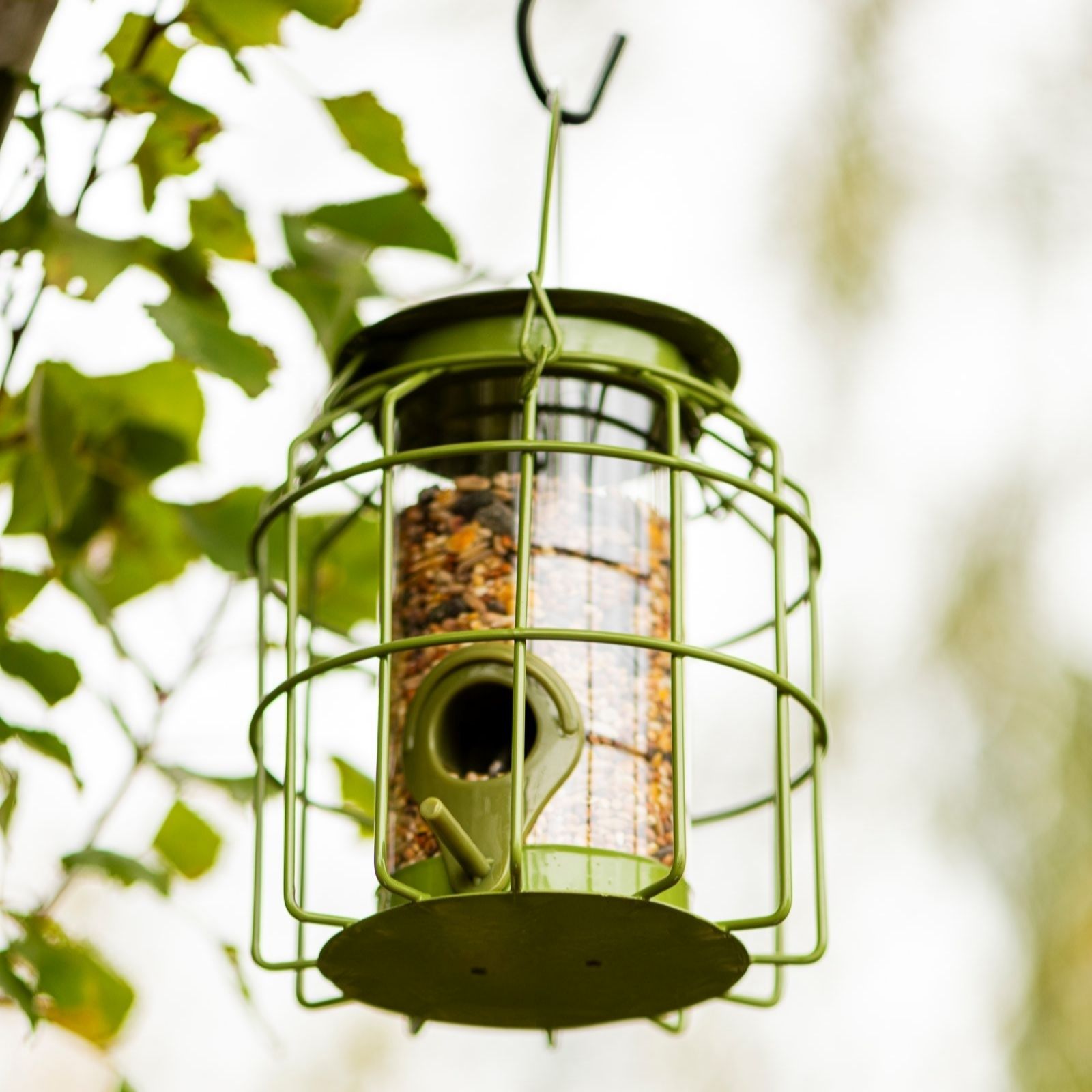 Thompson & Morgan Happy Beaks Garden Bird Mini Squirrel Proof Seed Feeder