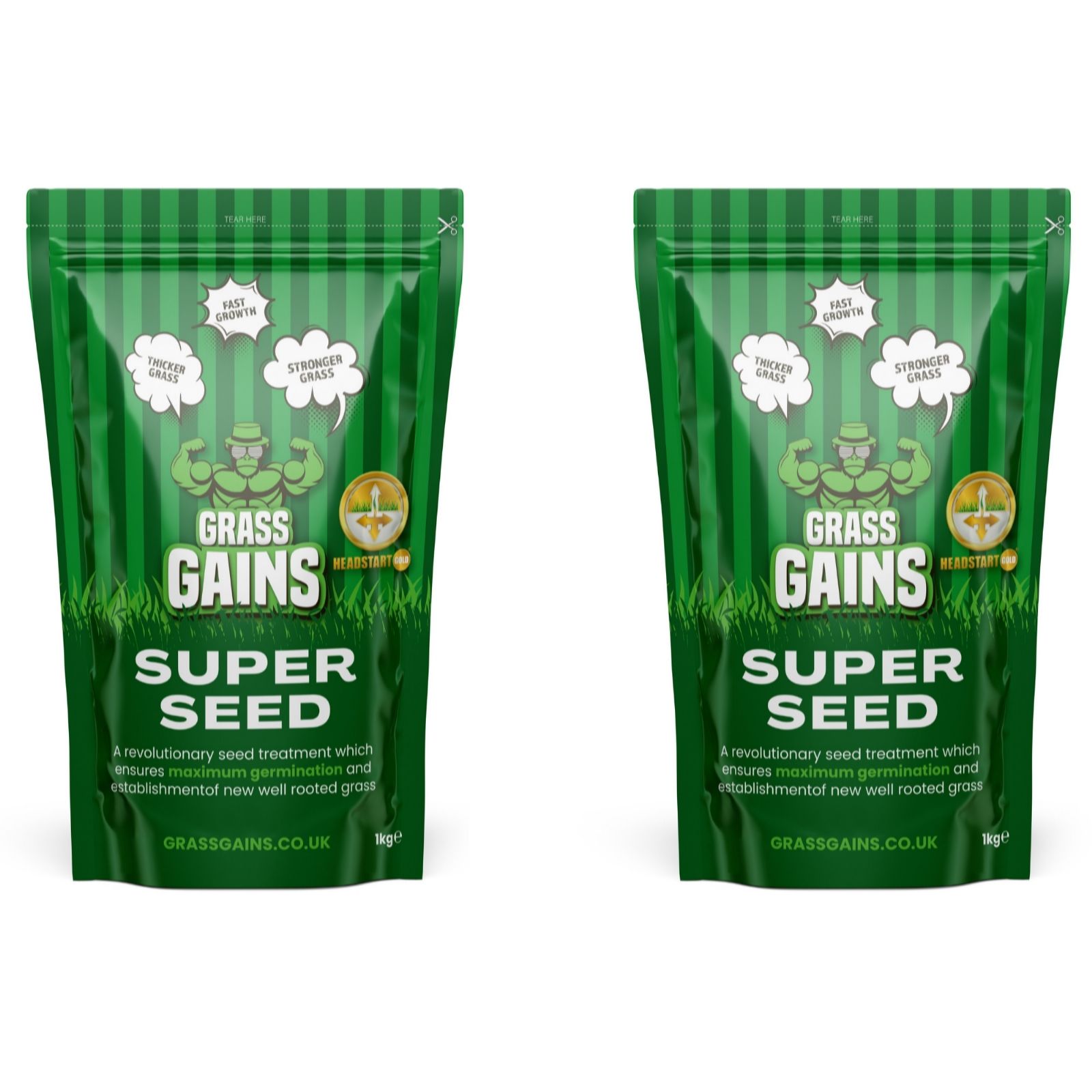 Grass Gains Patch Repair Twin Pack