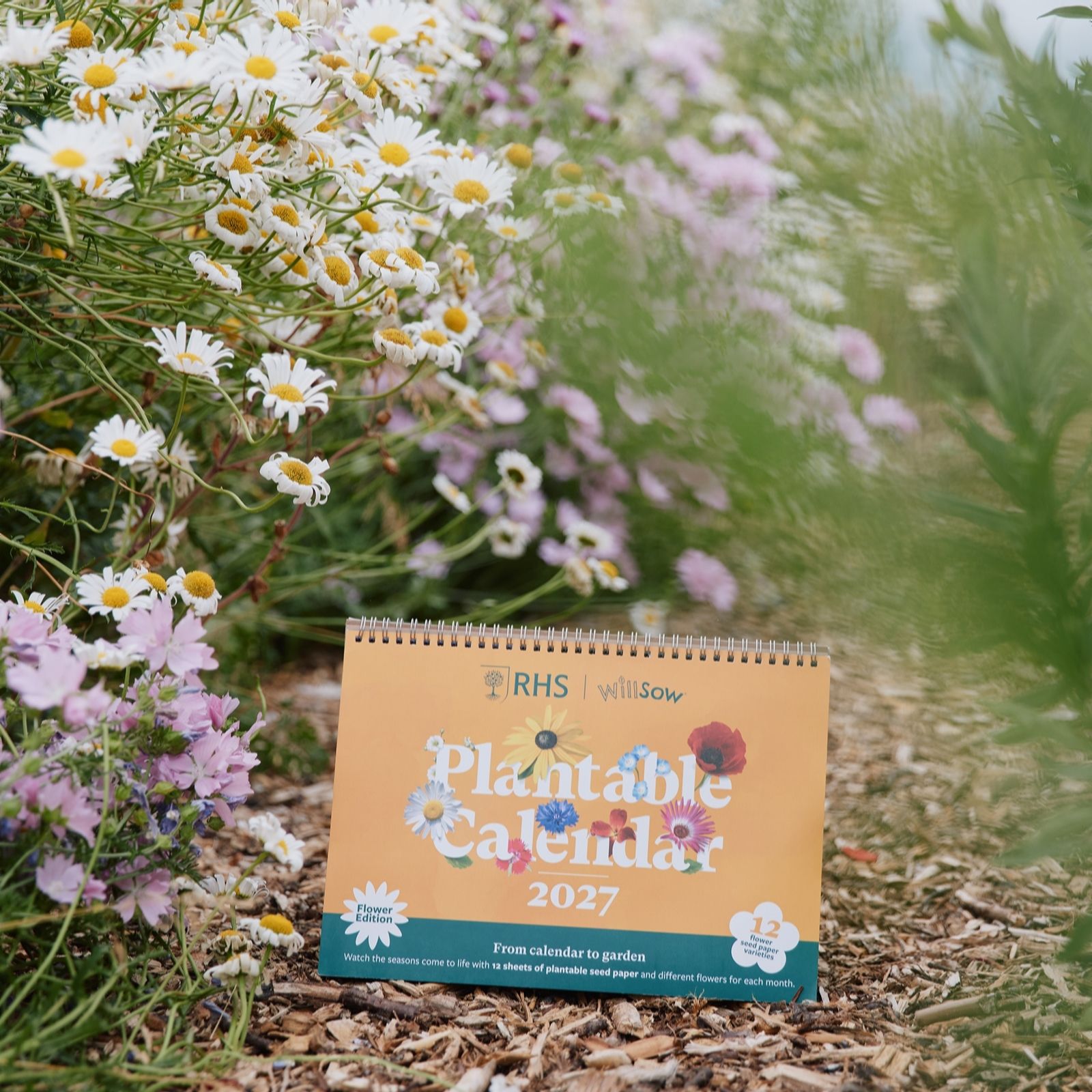 Willsow RHS 2027 A4 Flower Desk Calendar