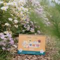 Willsow RHS 2027 A4 Flower Desk Calendar