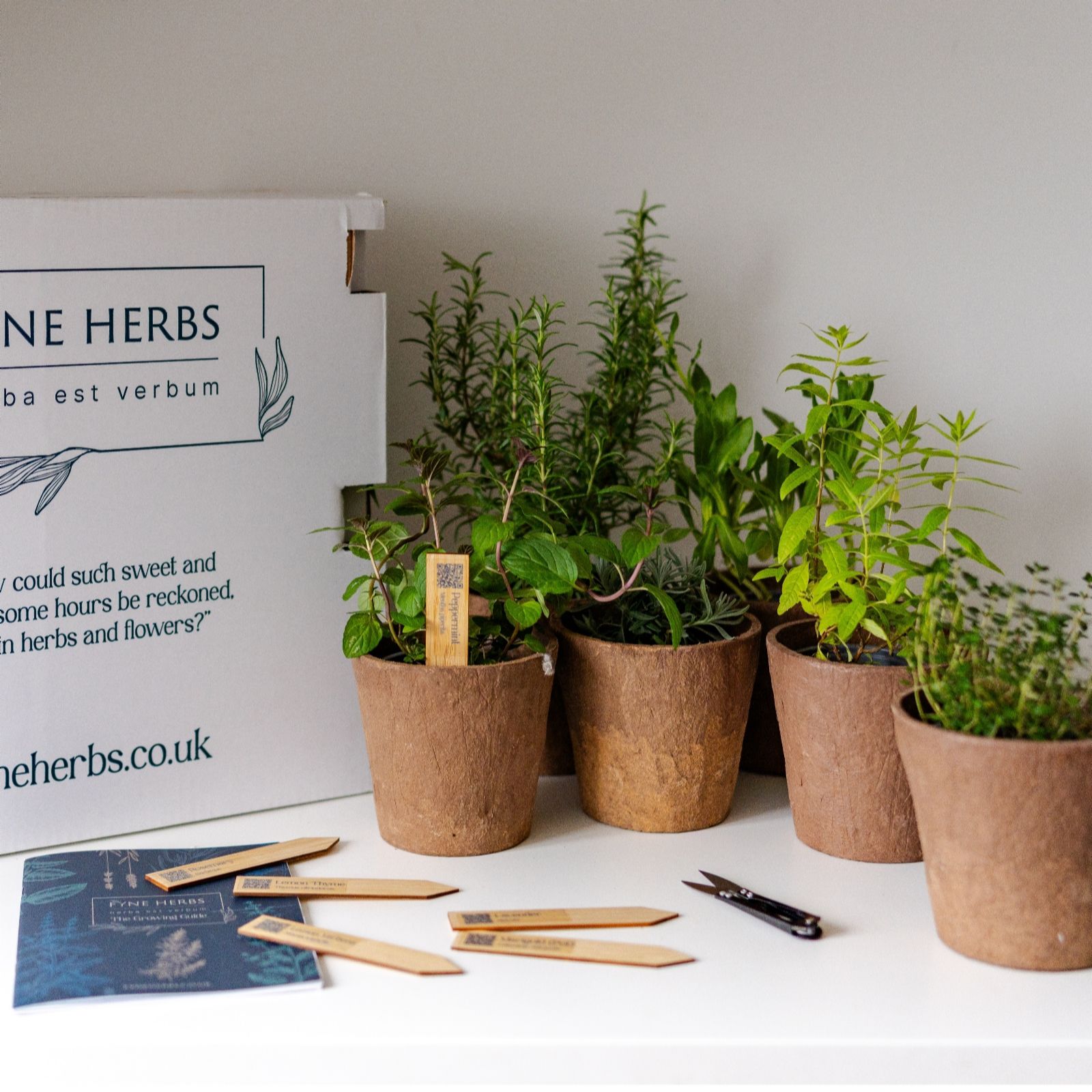 Fyne Herbs 9x 9cm Chefs Herb Gift Collection
