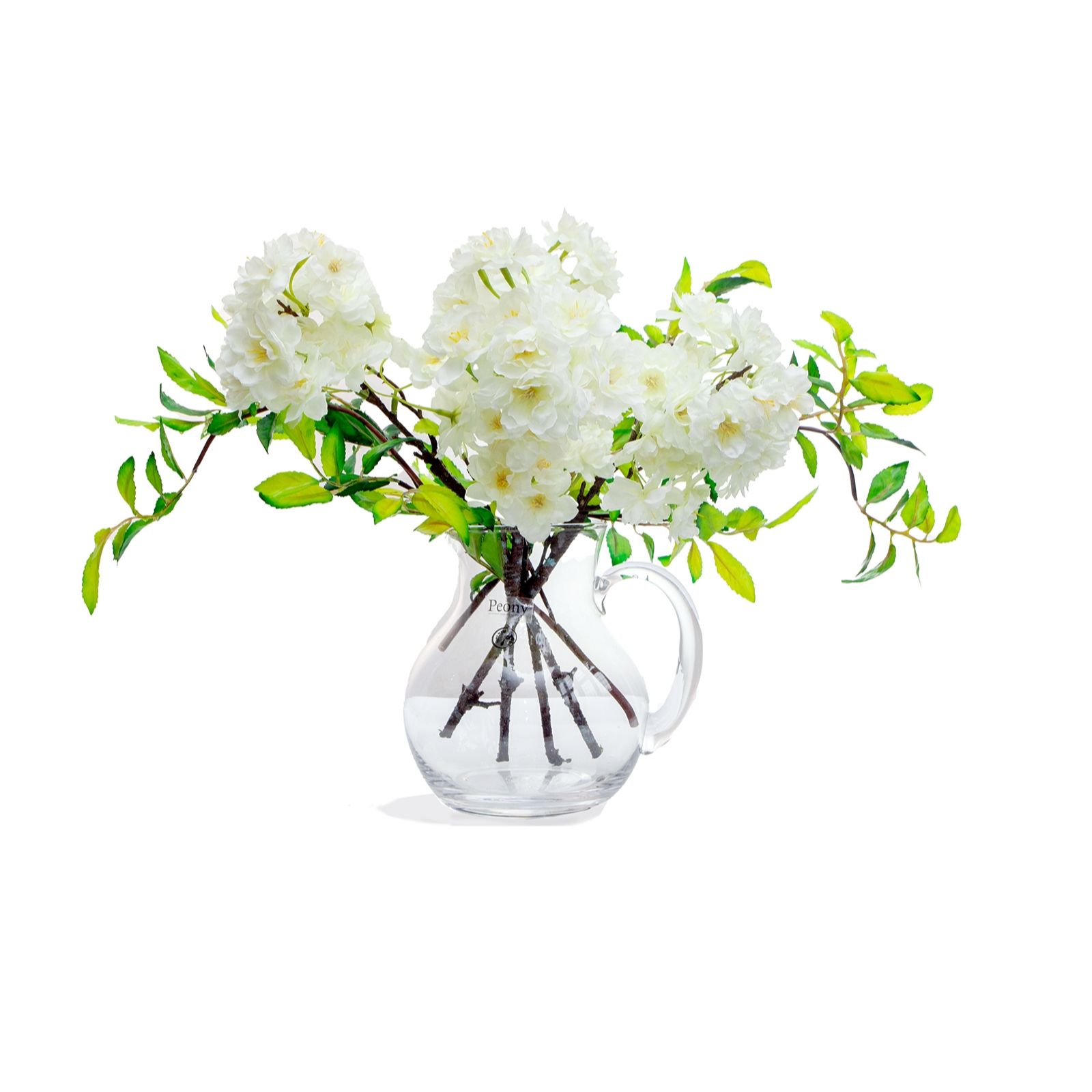 Peony Flowers in Glass Jug