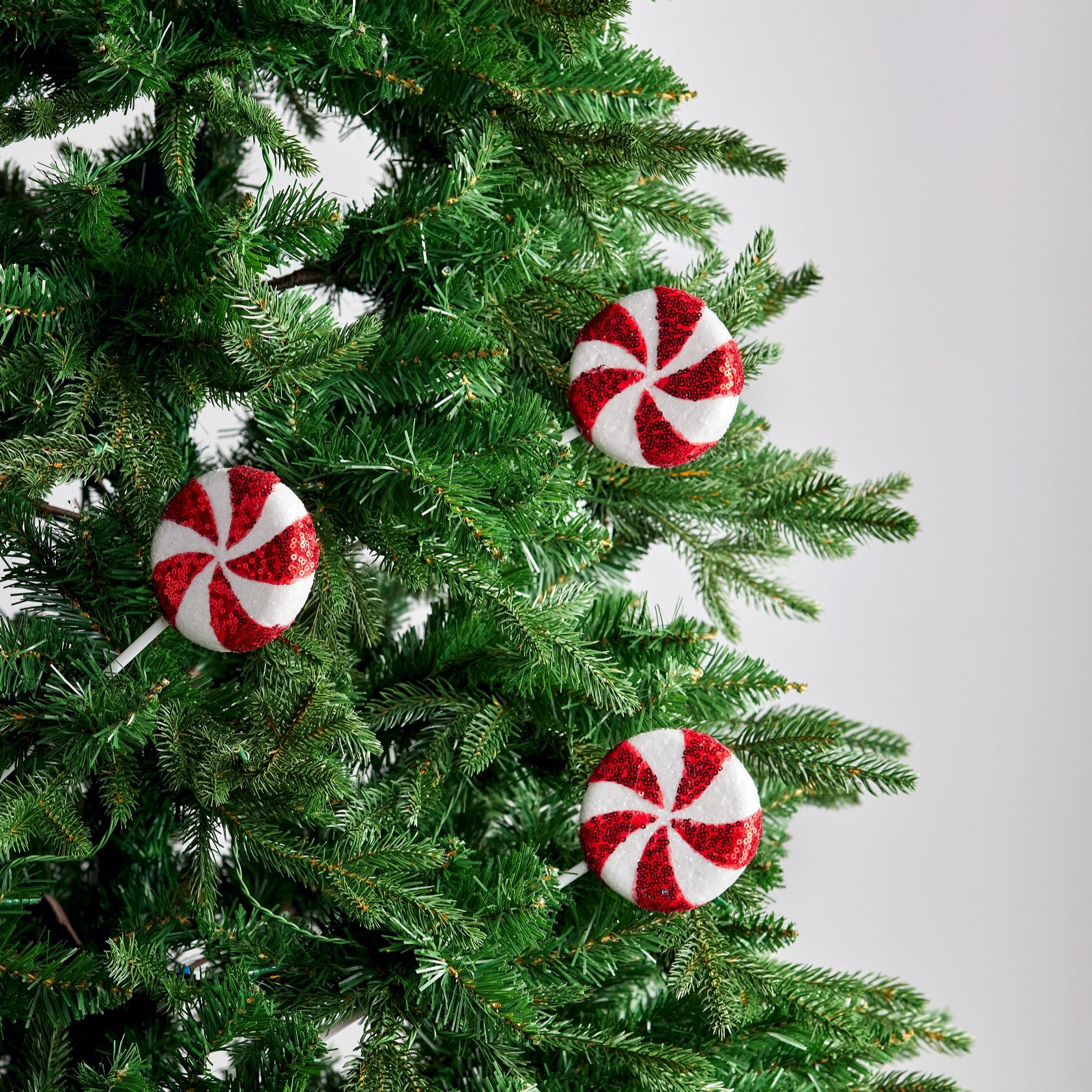 Santa Express Mixed Set Of Stem