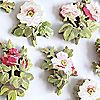 Anna Griffin 80 Piece Garden Floral 3D Stickers Collection, 2 of 5