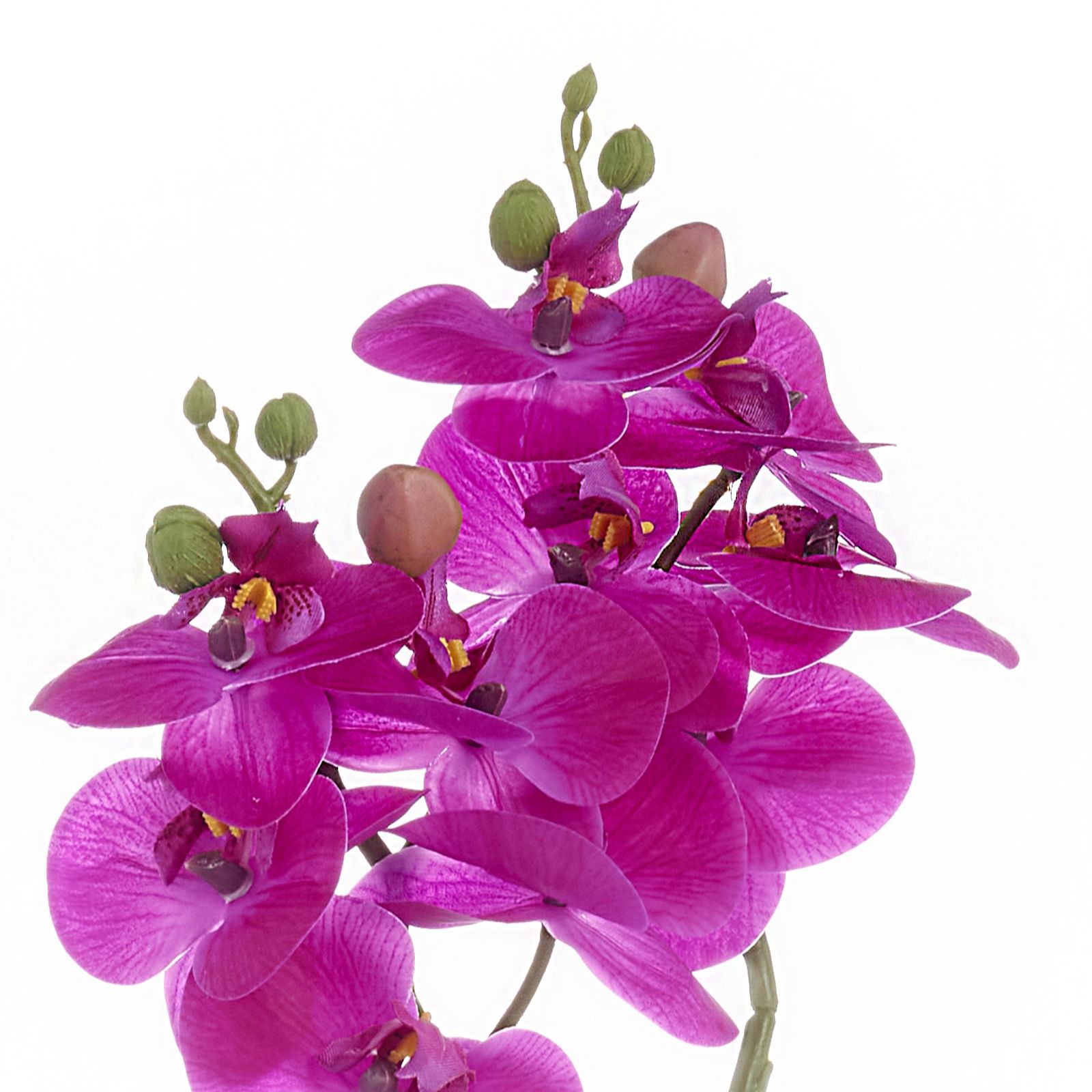 Home Reflections Set of 2 Real Touch Orchids In a Ceramic Pot - QVC UK