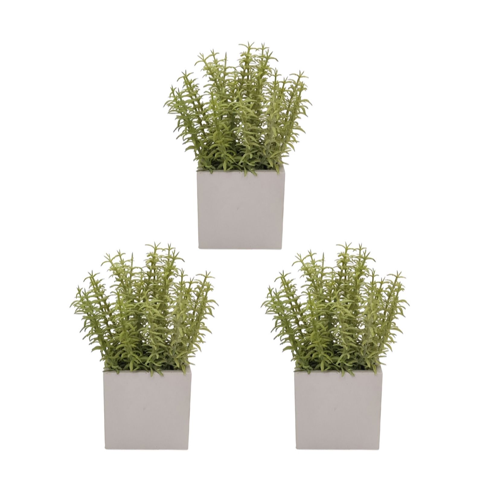 K By Kelly Hoppen Set of 3 Faux Plants