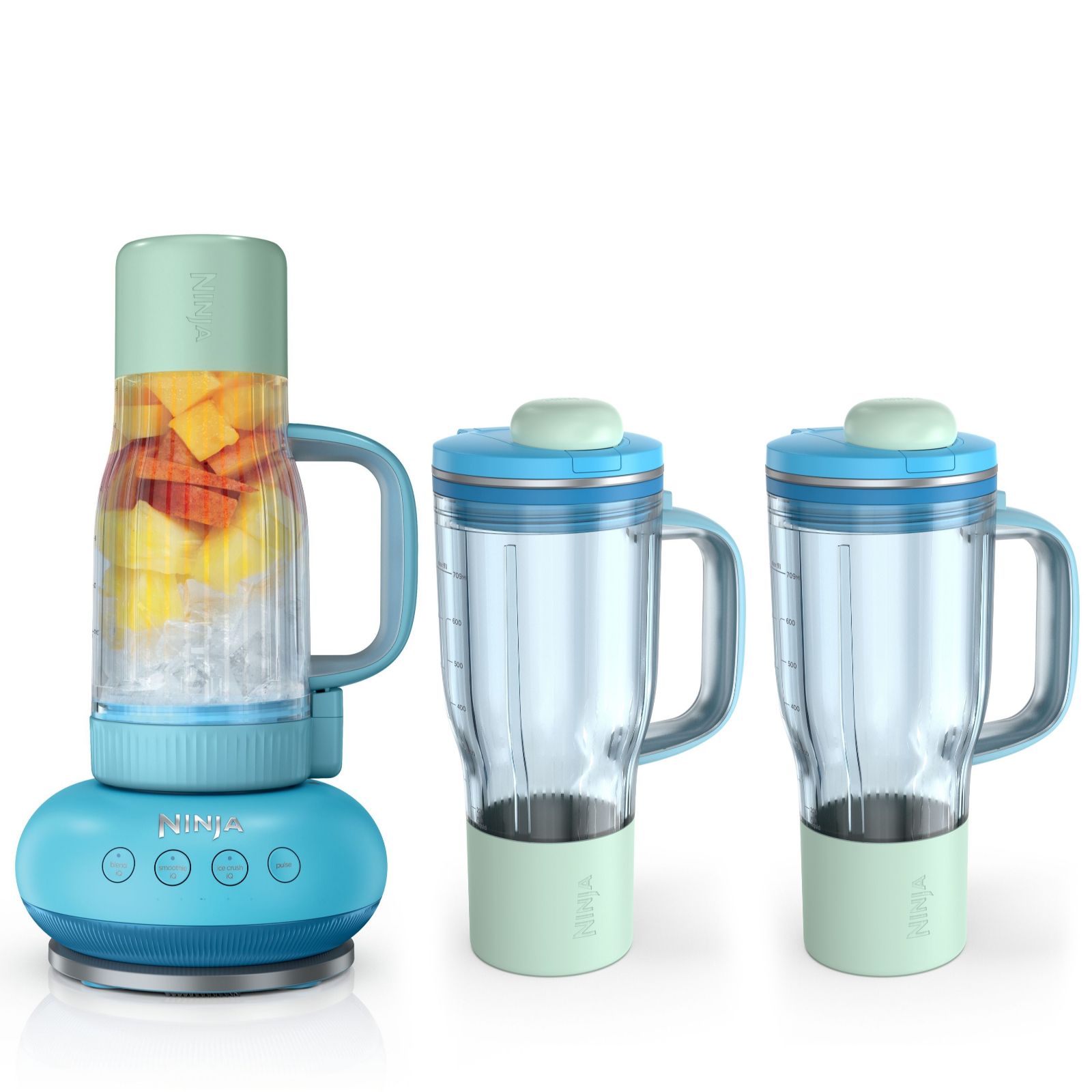 Ninja BlendBOSS Tumbler Blender w/2x additional Tumblers