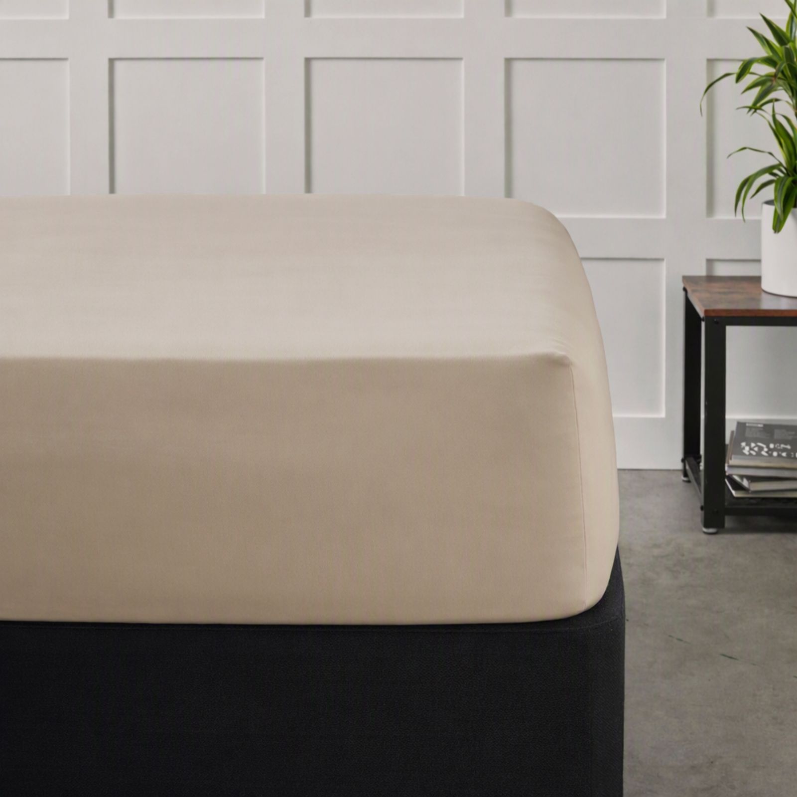 Northern Nights 500TC 100% Egyptian Cotton Set of 2 Fitted Sheets