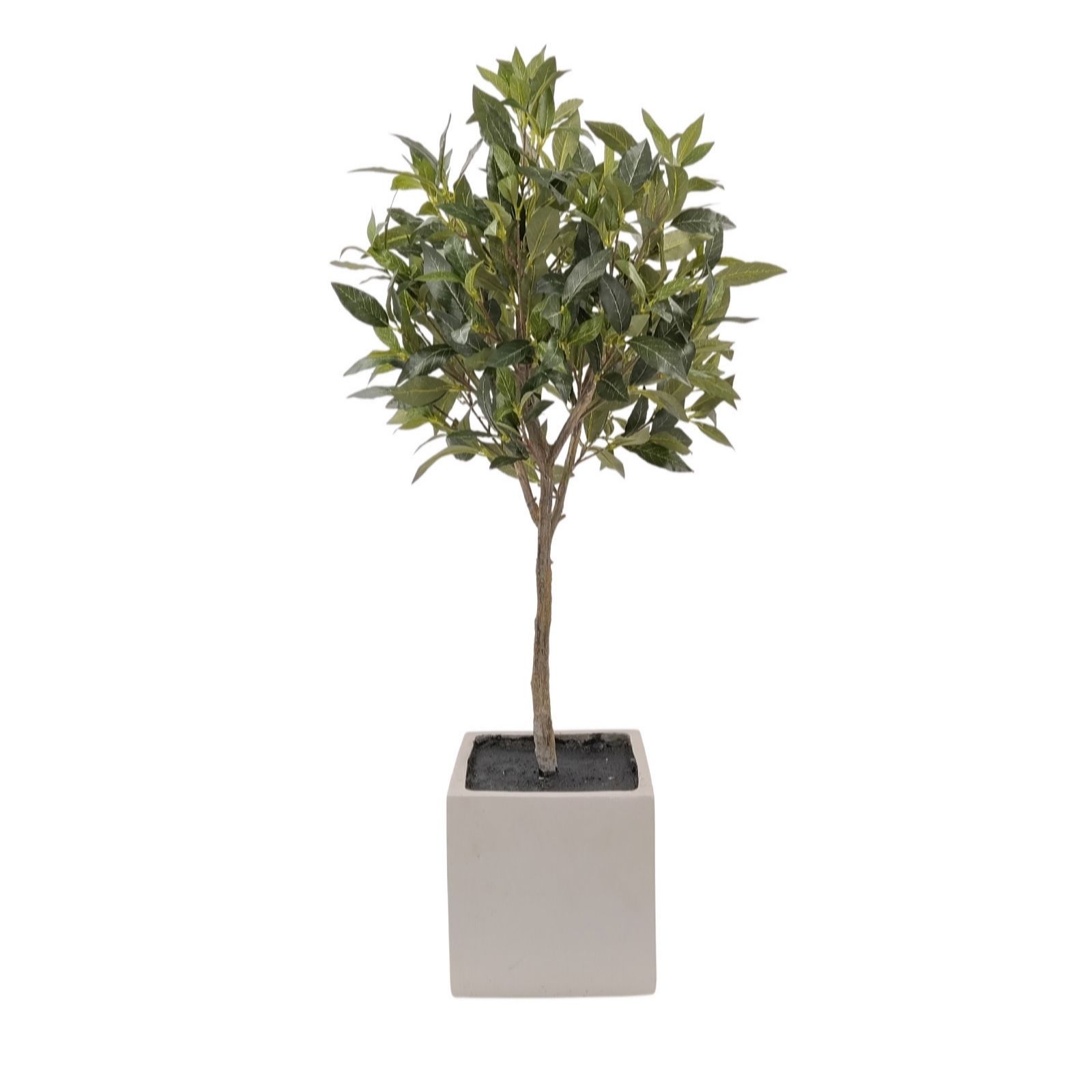 Outlet K by Kelly Hoppen Topiary Indoor Outdoor Faux Bay Tree