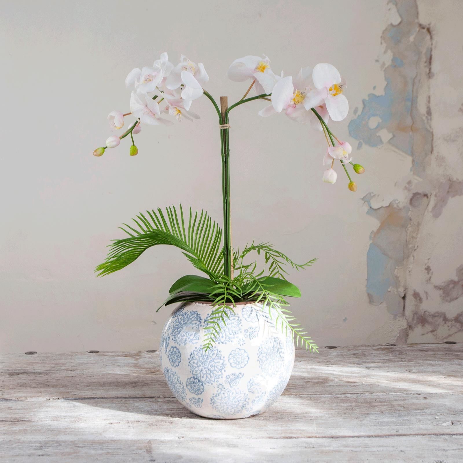 Outlet Peony Potted Phalaenopsis Orchid in a Patterned Bowl