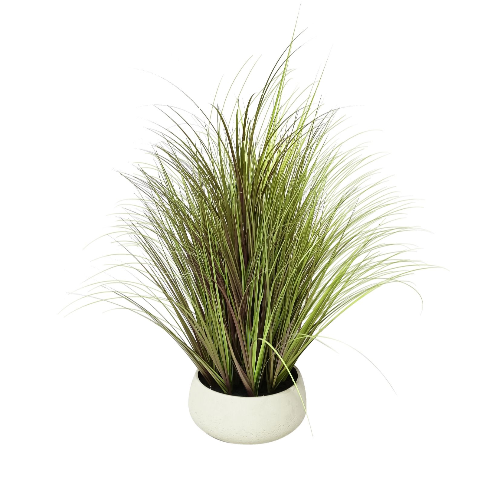 K by Kelly Hoppen Indoor Outdoor Pre-Lit Lomandra Grass w/Cement Pot